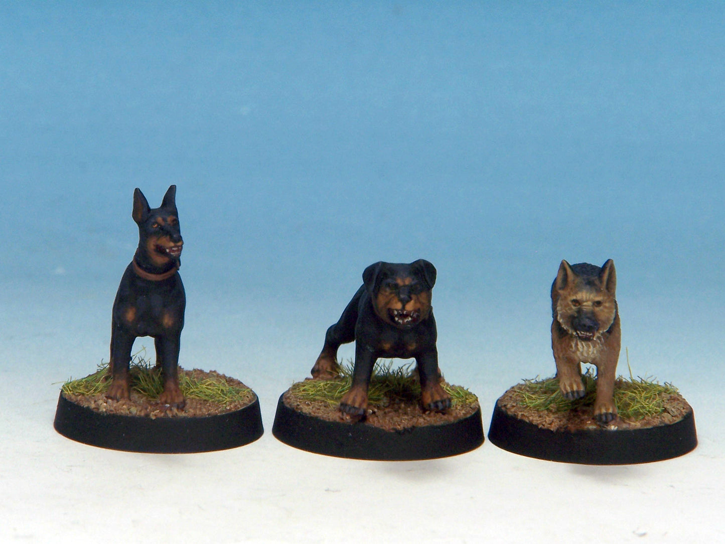 Attack Dogs