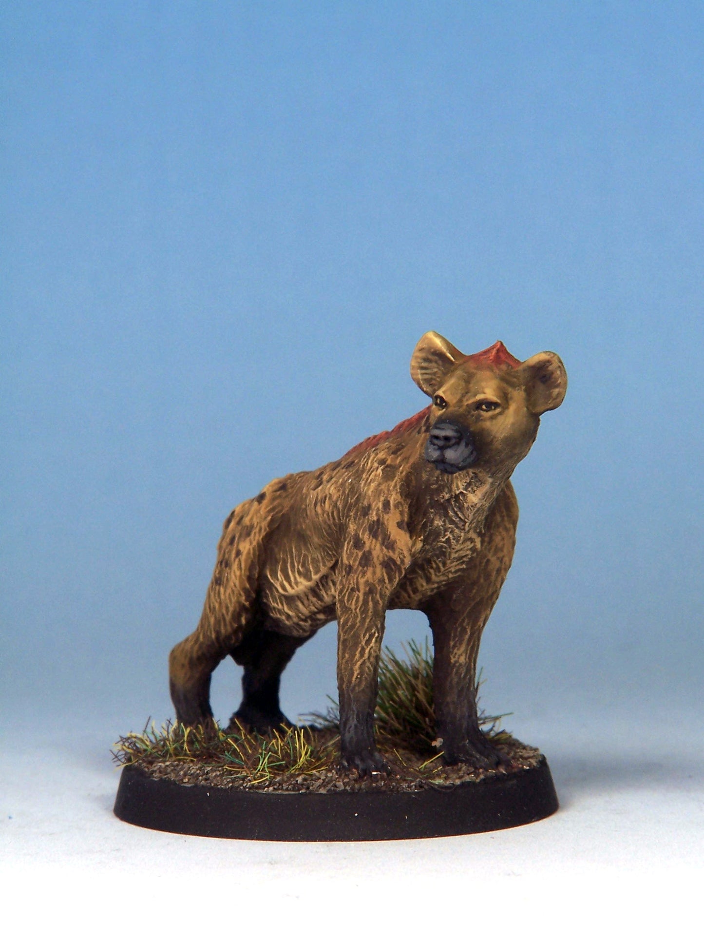 Hyenadon A