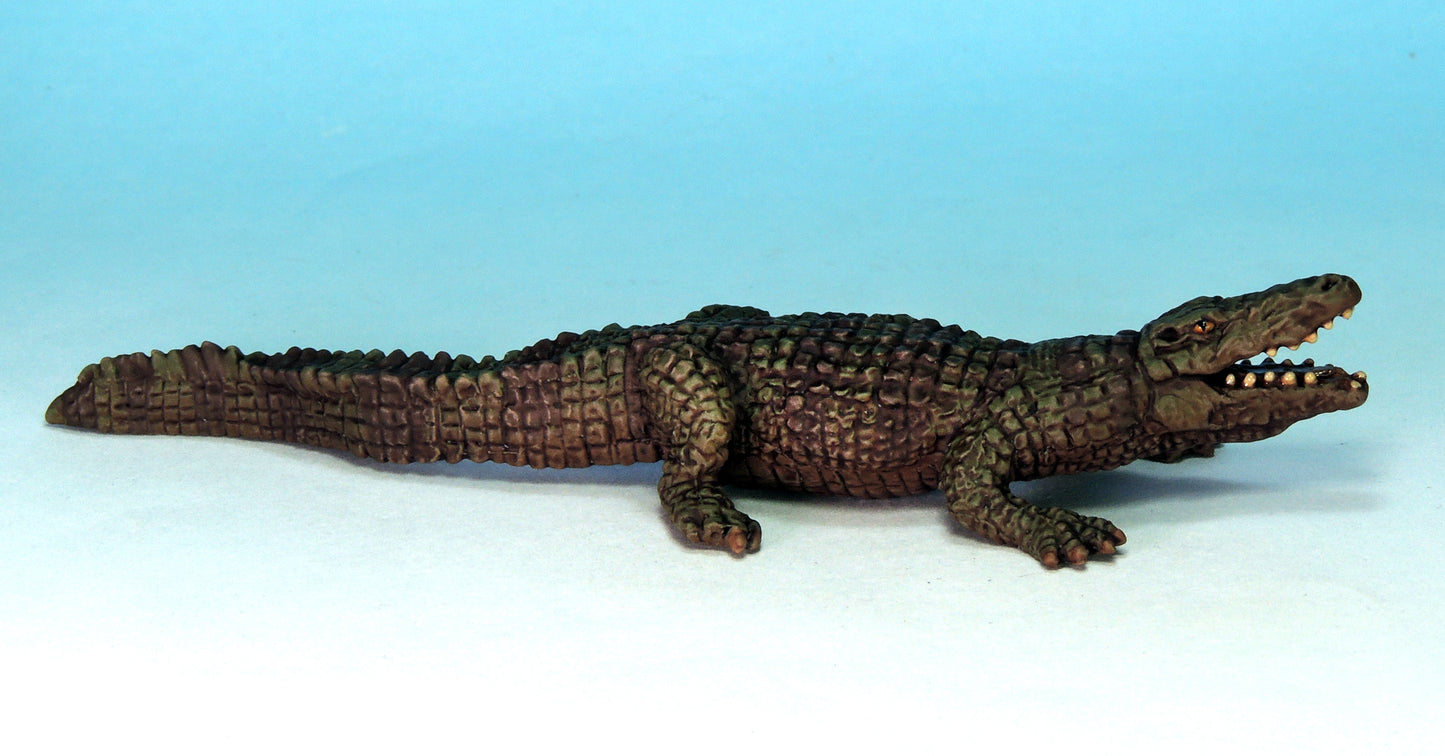 Nile Crocodile