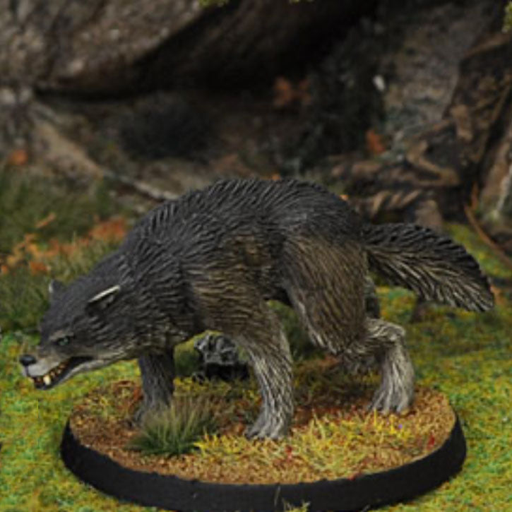Dire Wolf B