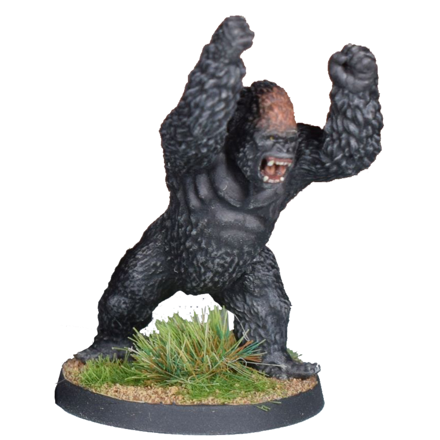 Great Ape C