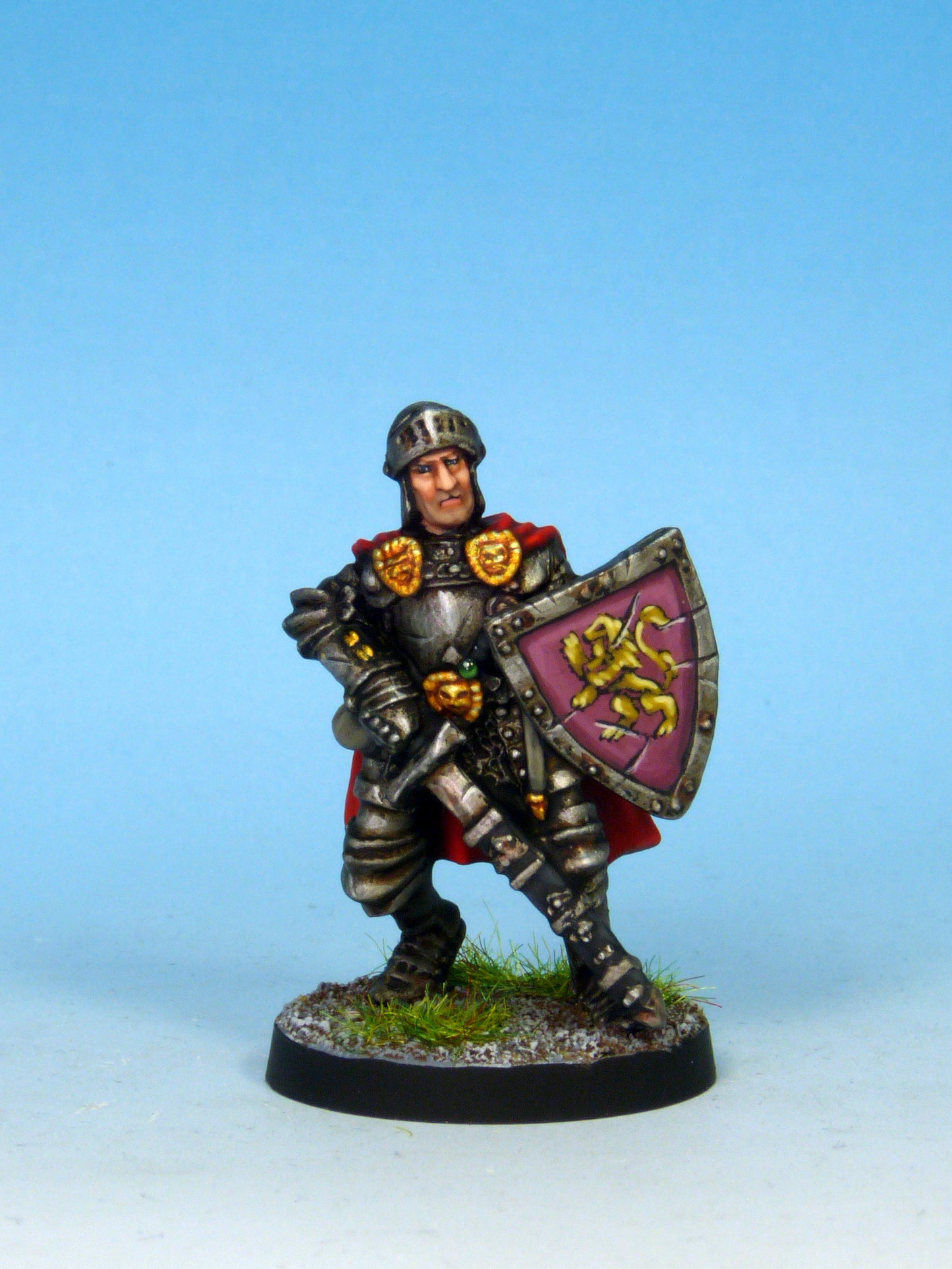 Paladin - Plate & Shield