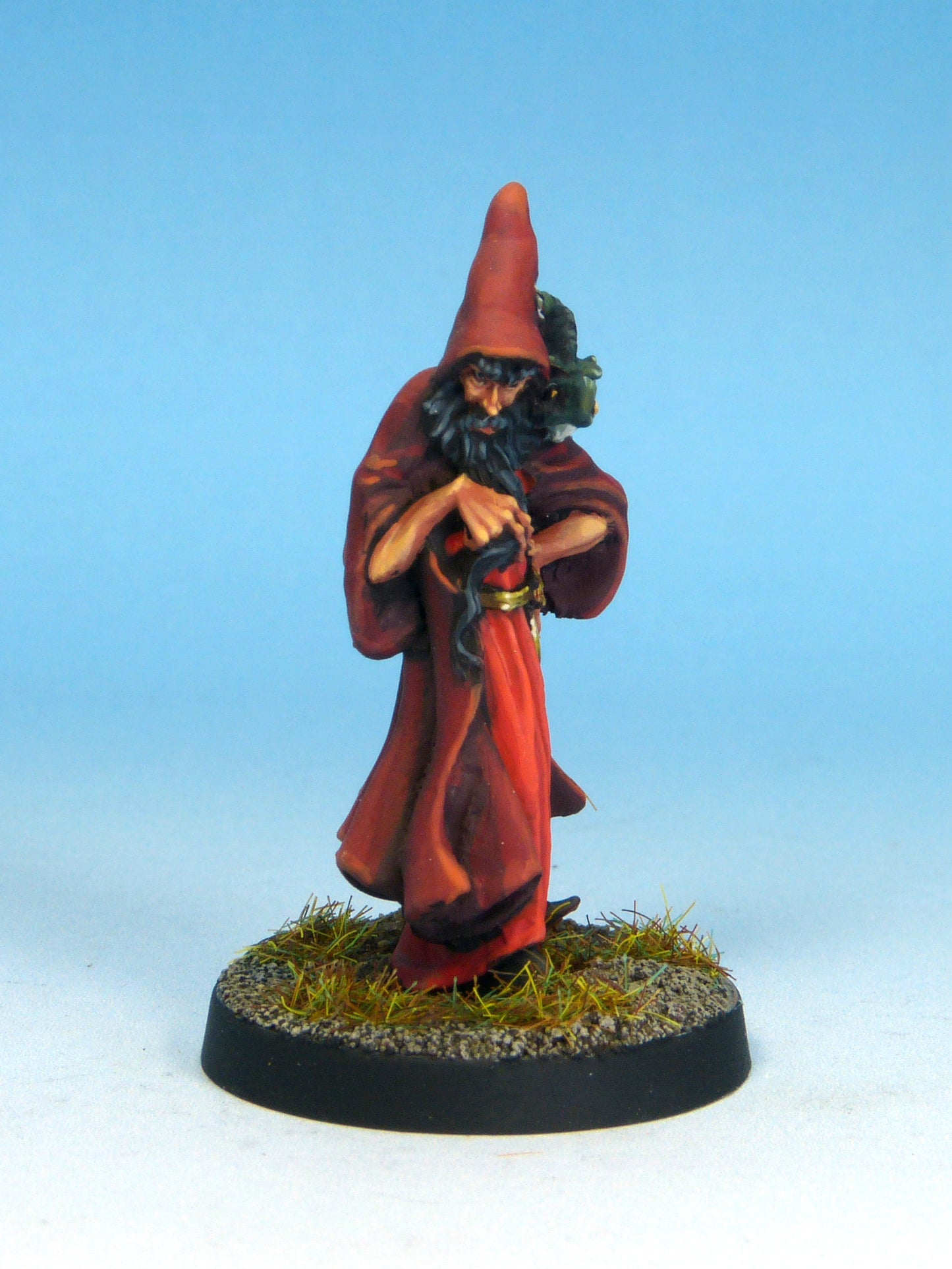 Evil Wizard with Lizard