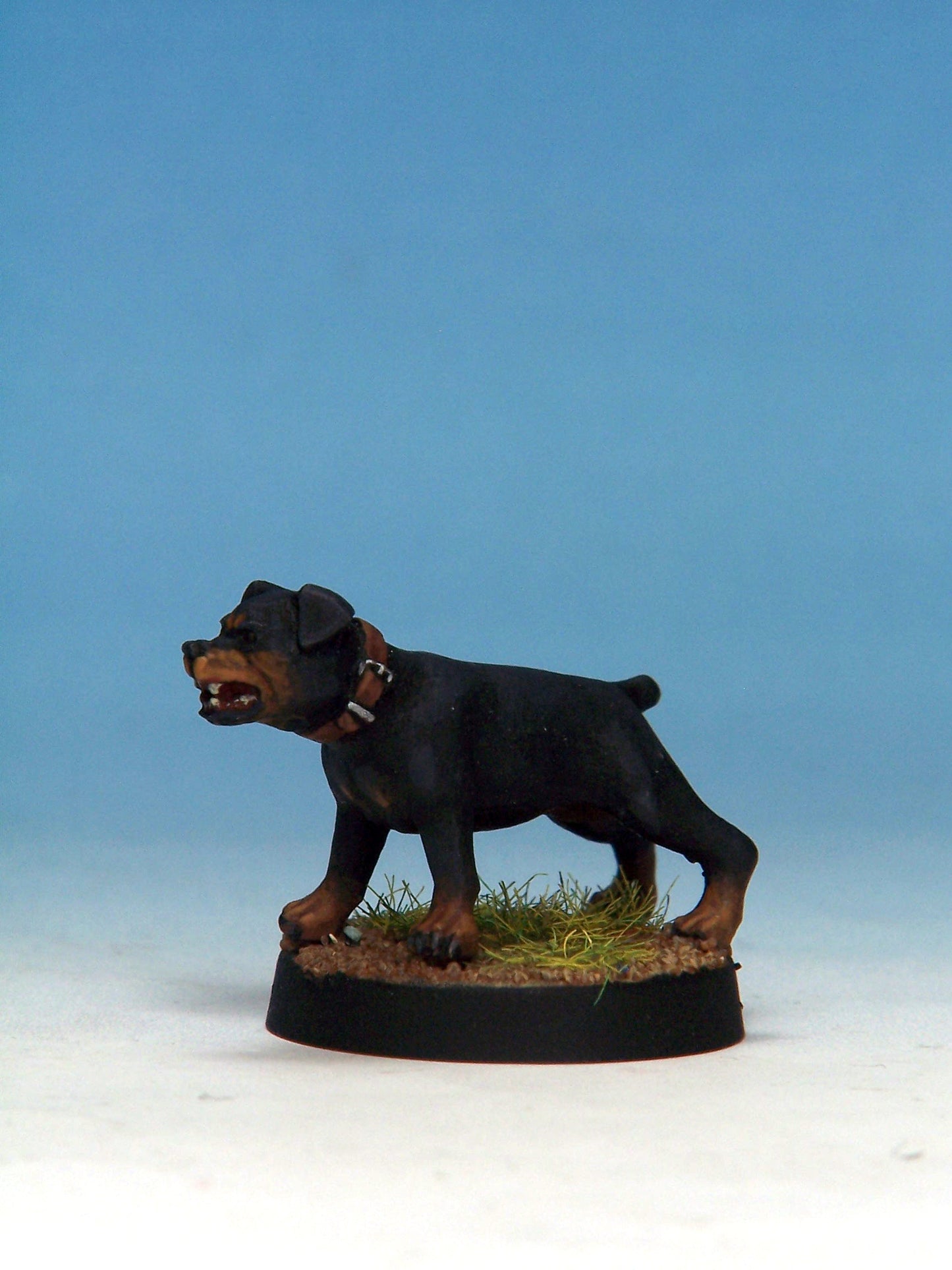 Attack Dog D