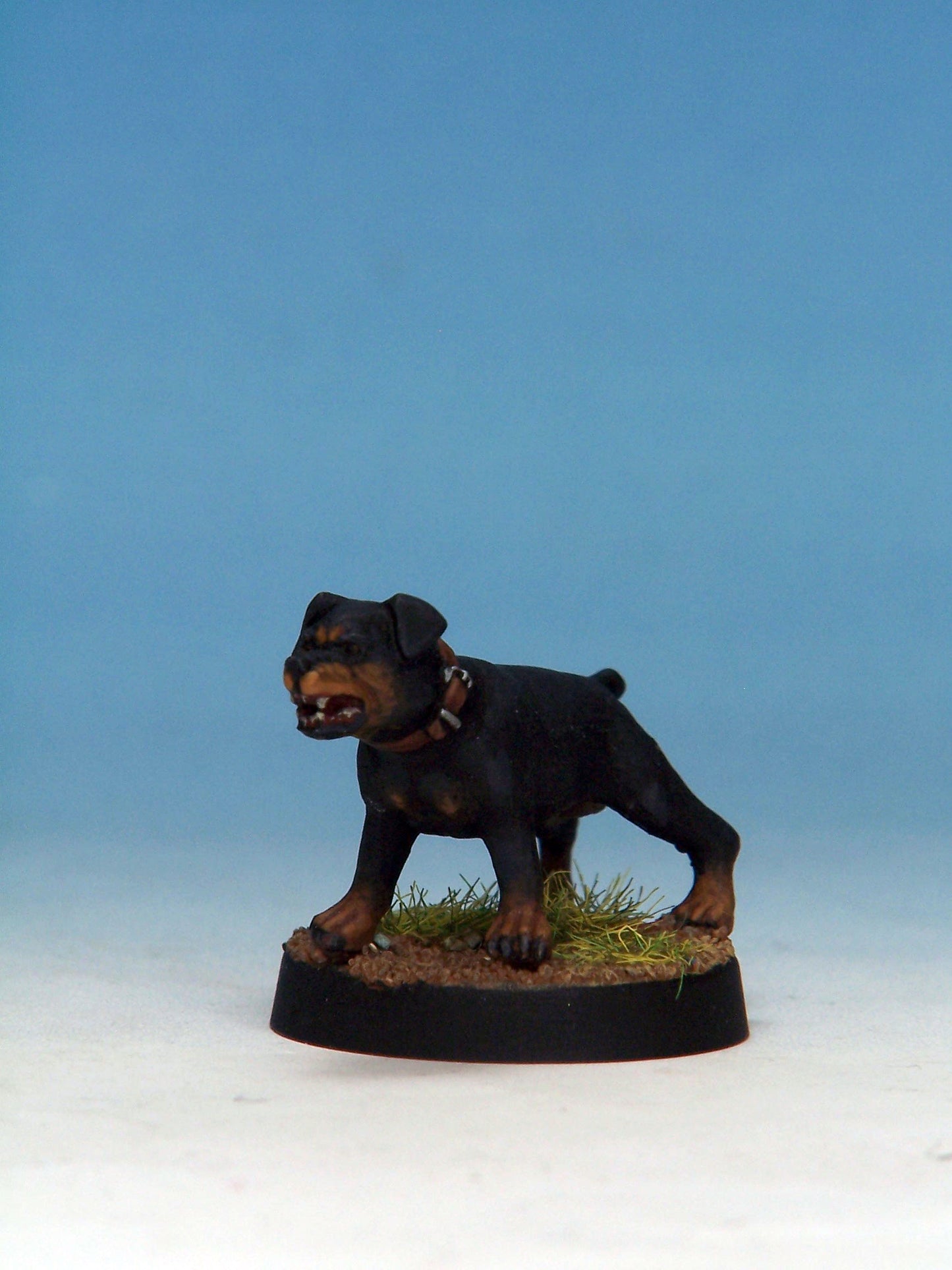 Attack Dog D