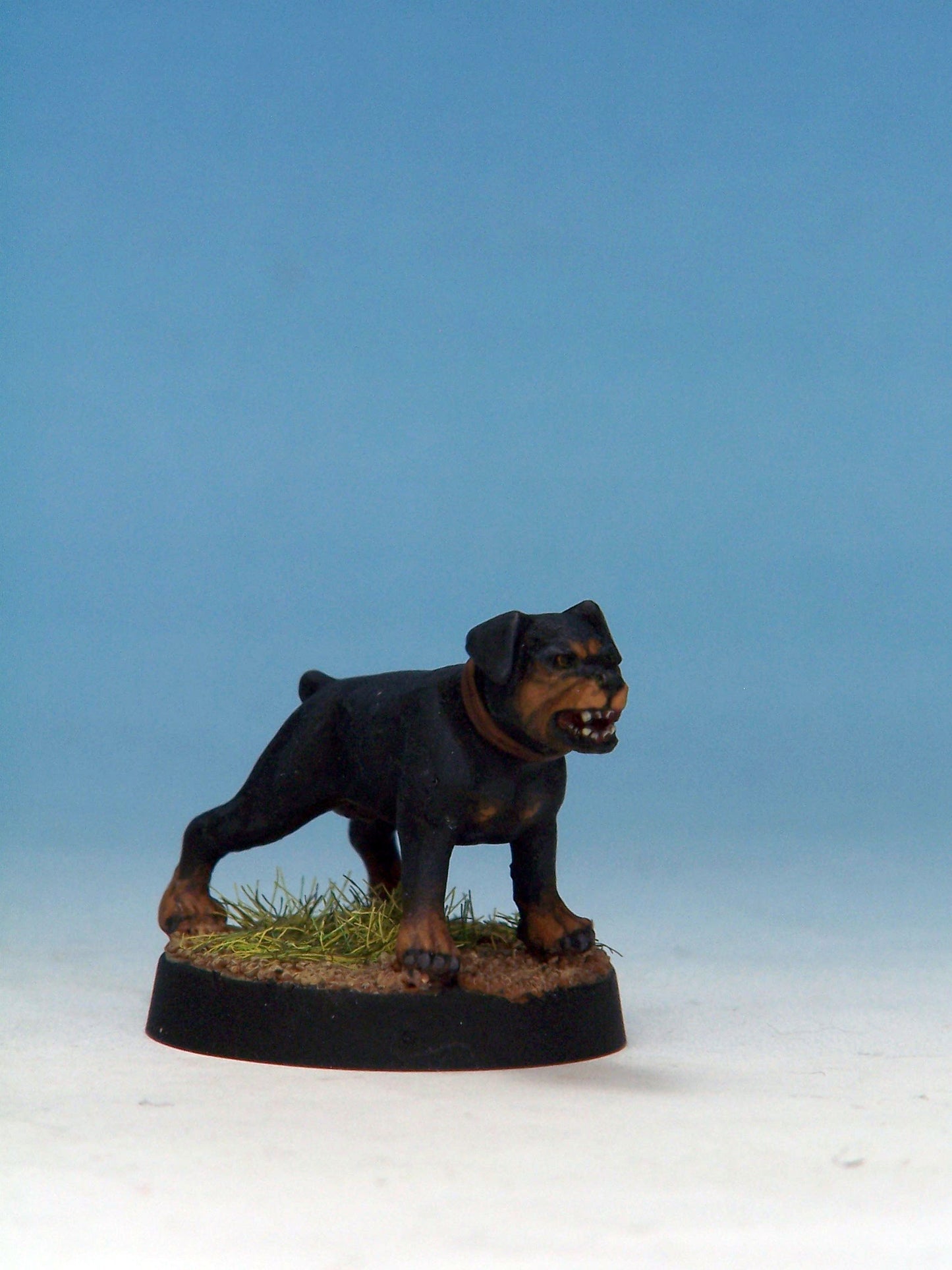 Attack Dog D