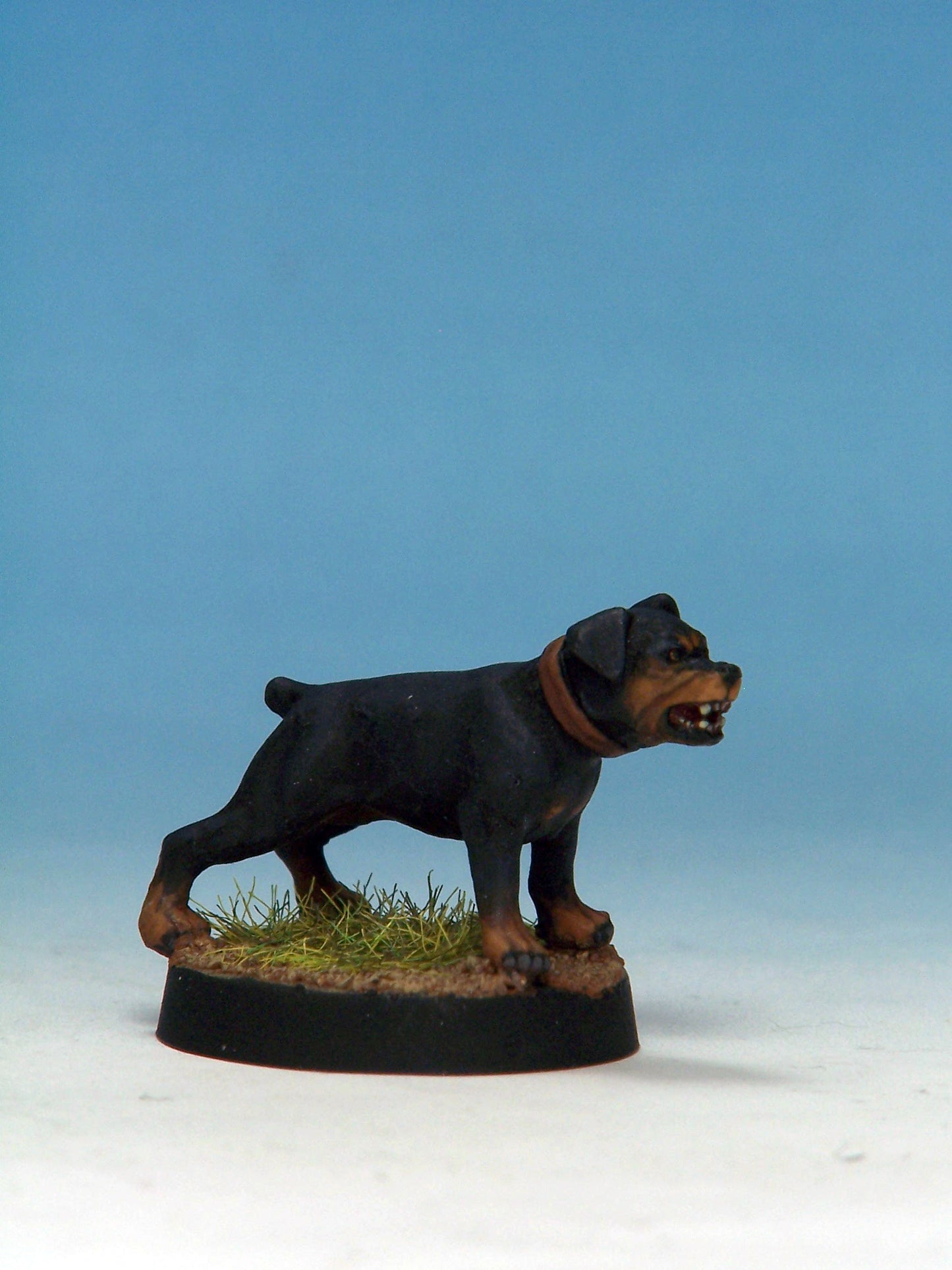 Attack Dog D