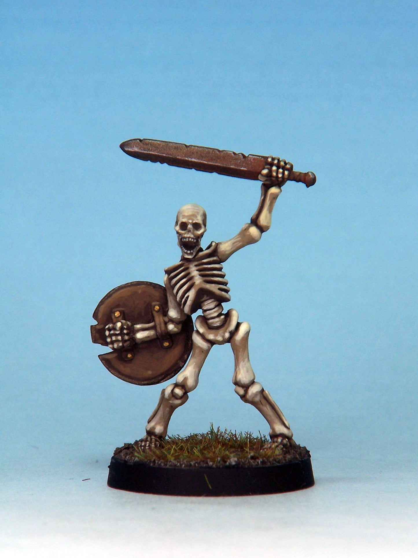 Skeleton Warrior 1D