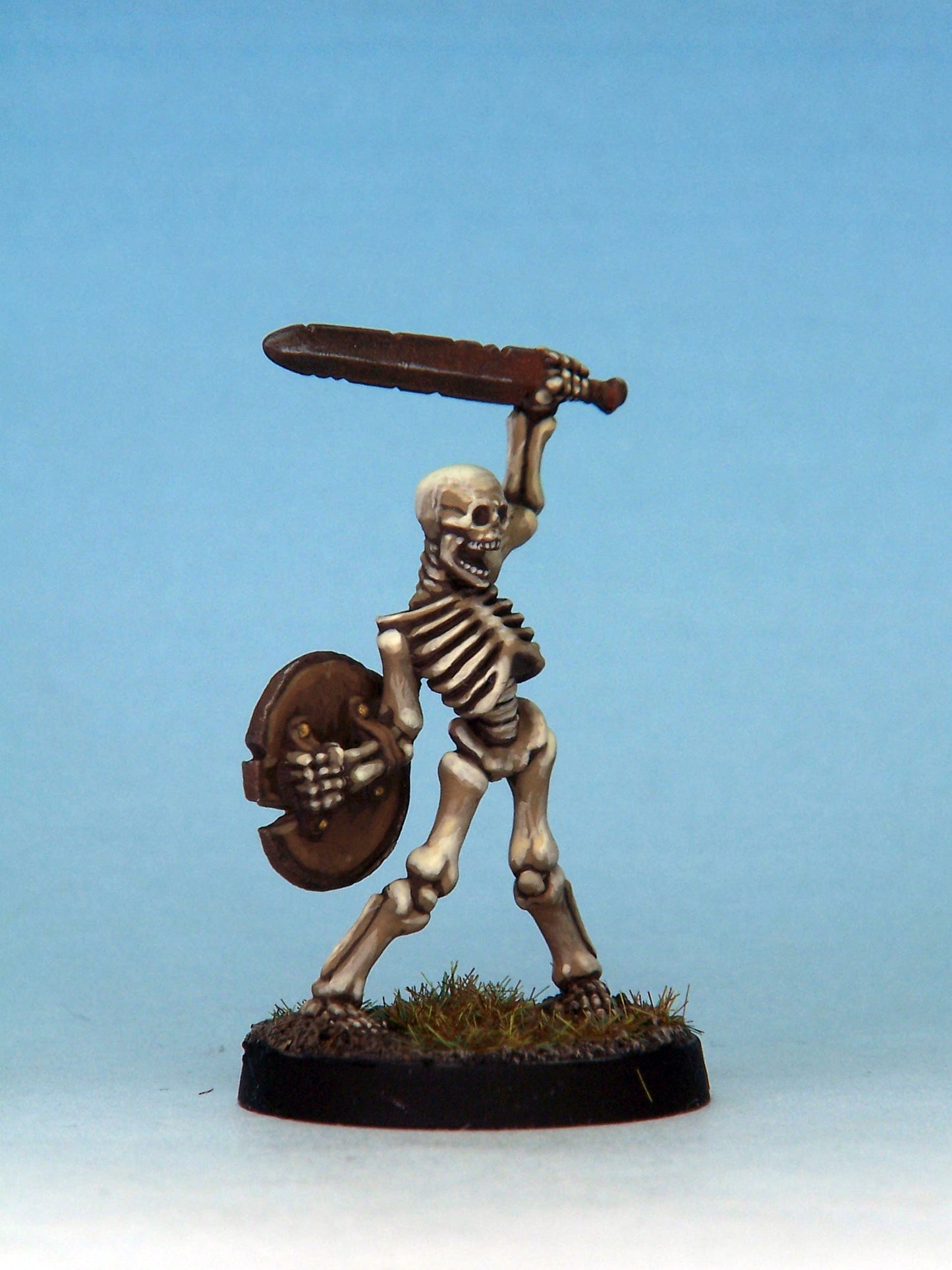 Skeleton Warrior 1D