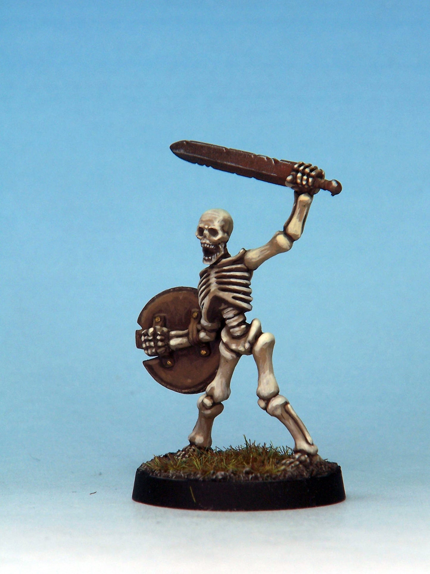 Skeleton Warrior 1D