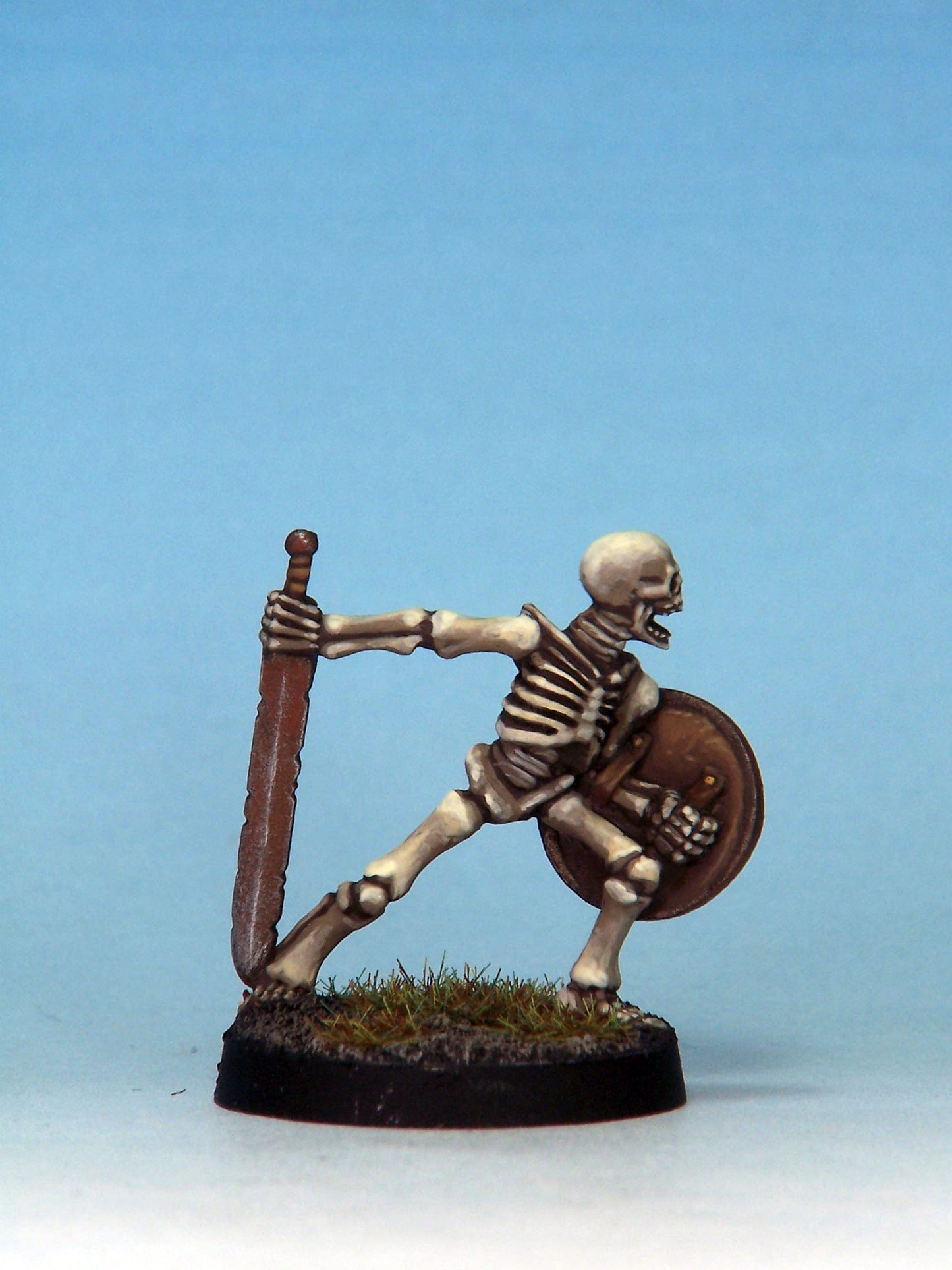 Skeleton Warrior 1C