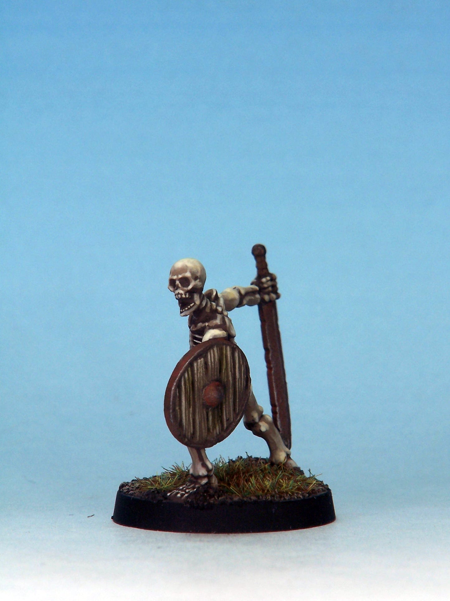 Skeleton Warrior 1C