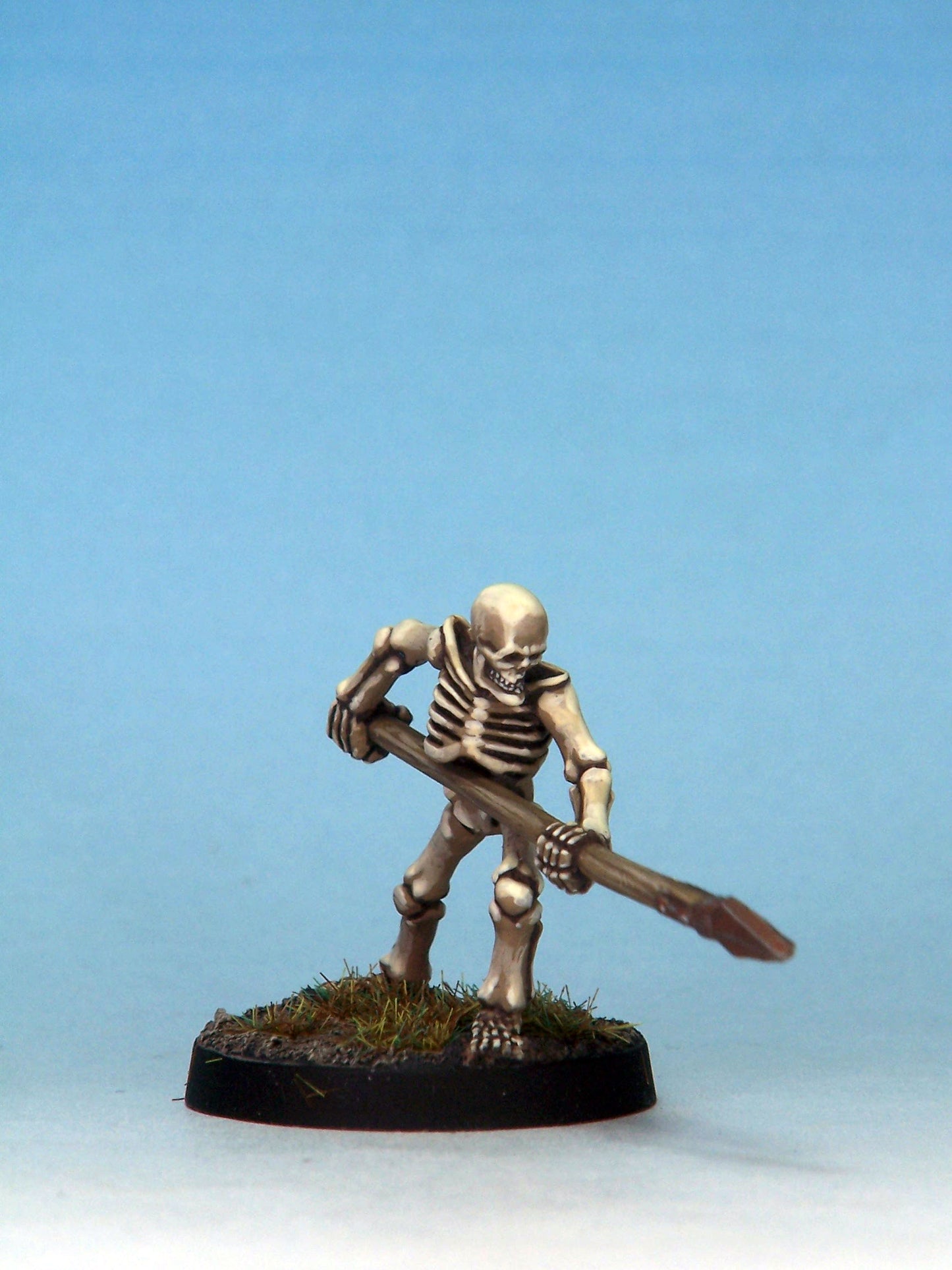 Skeleton Warrior 5A