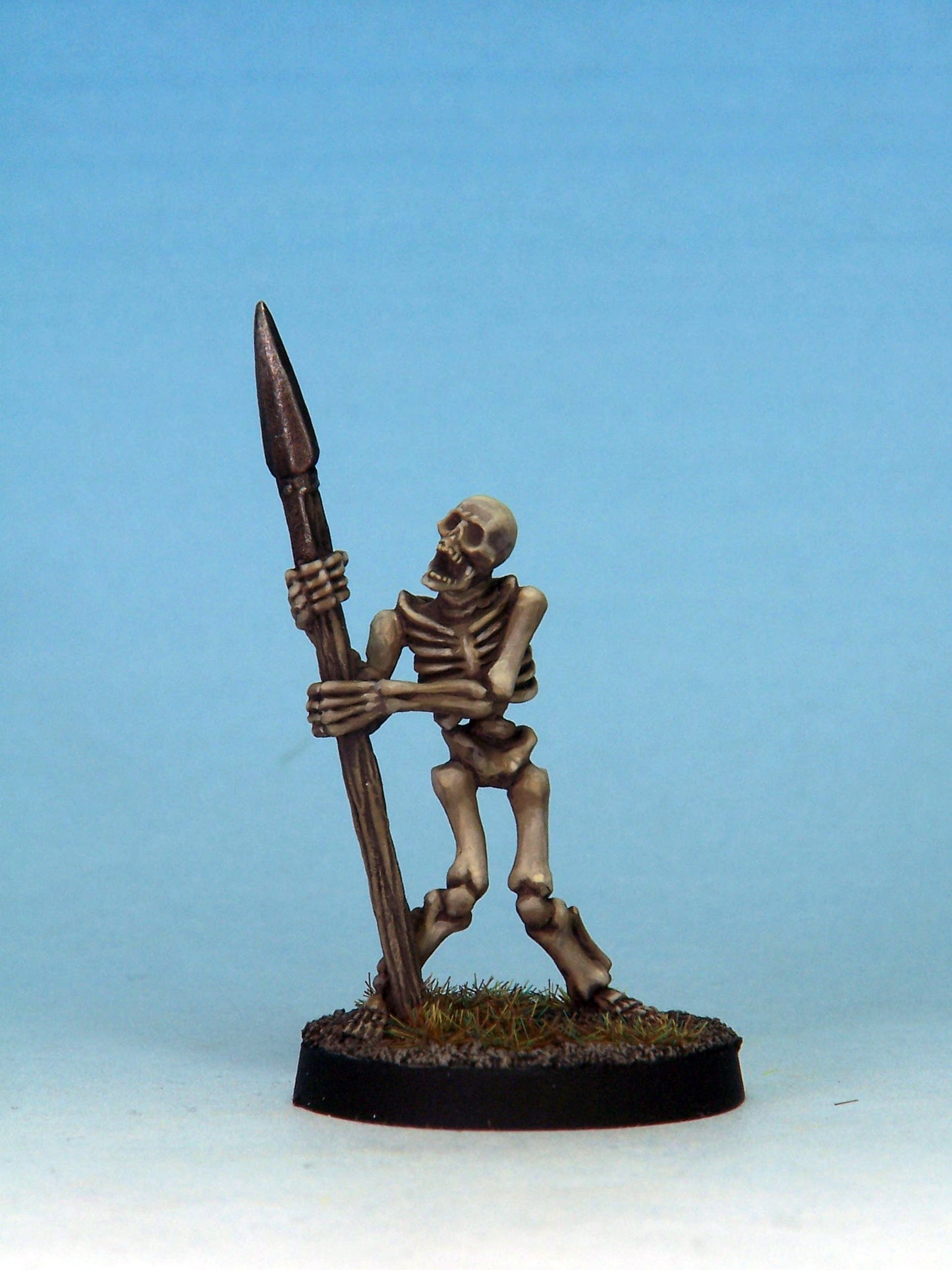 Skeleton Warrior 5B