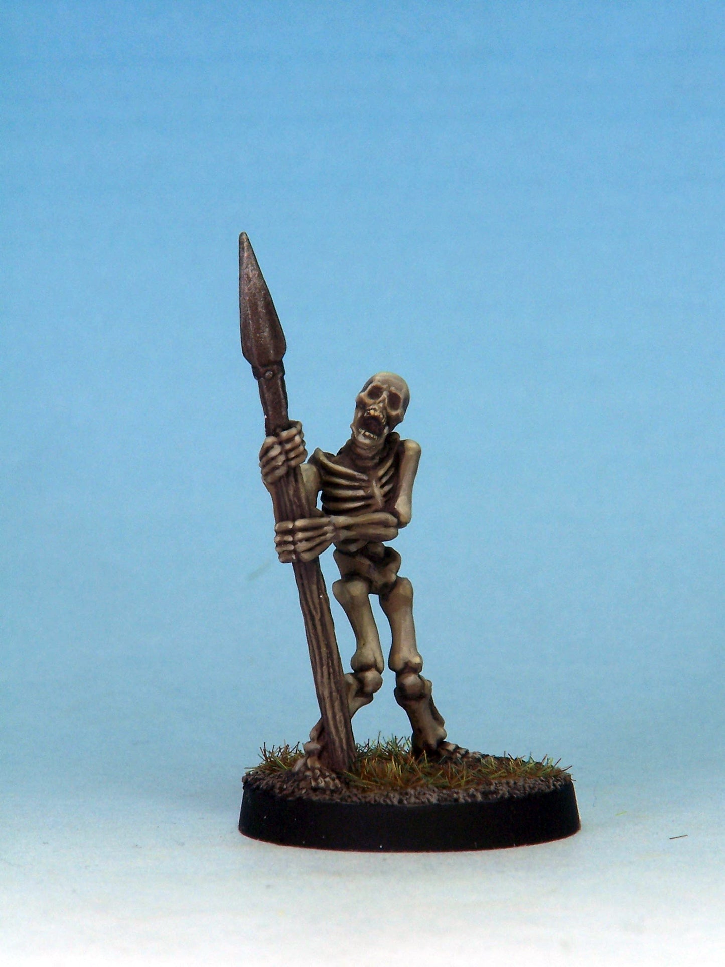 Skeleton Warrior 5B