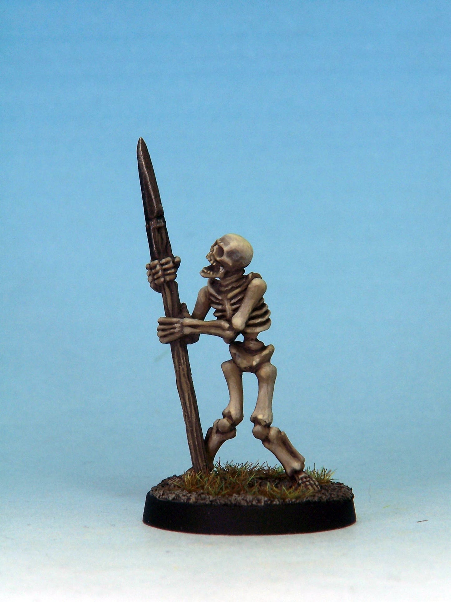 Skeleton Warrior 5B