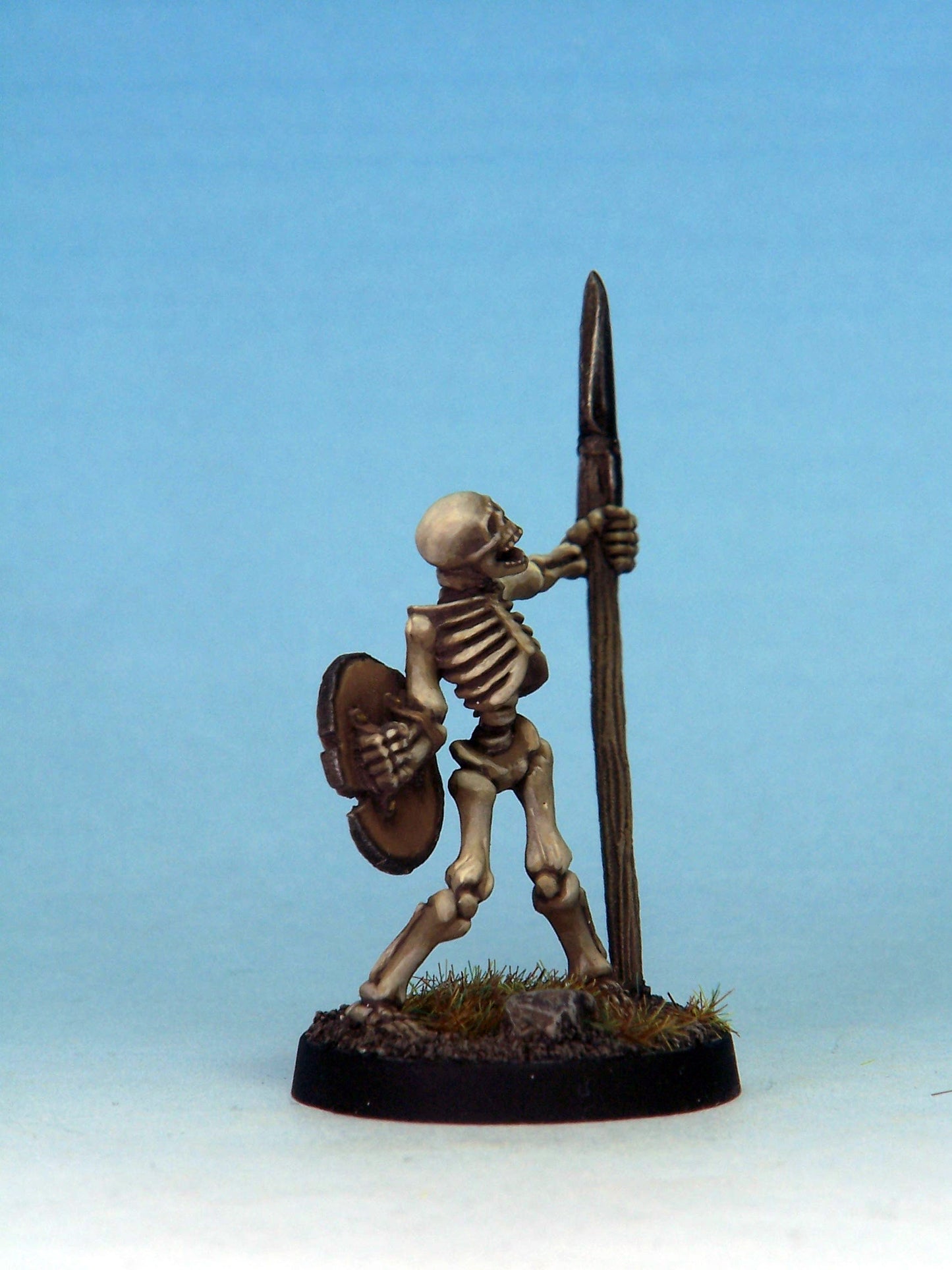 Skeleton Warrior 5C