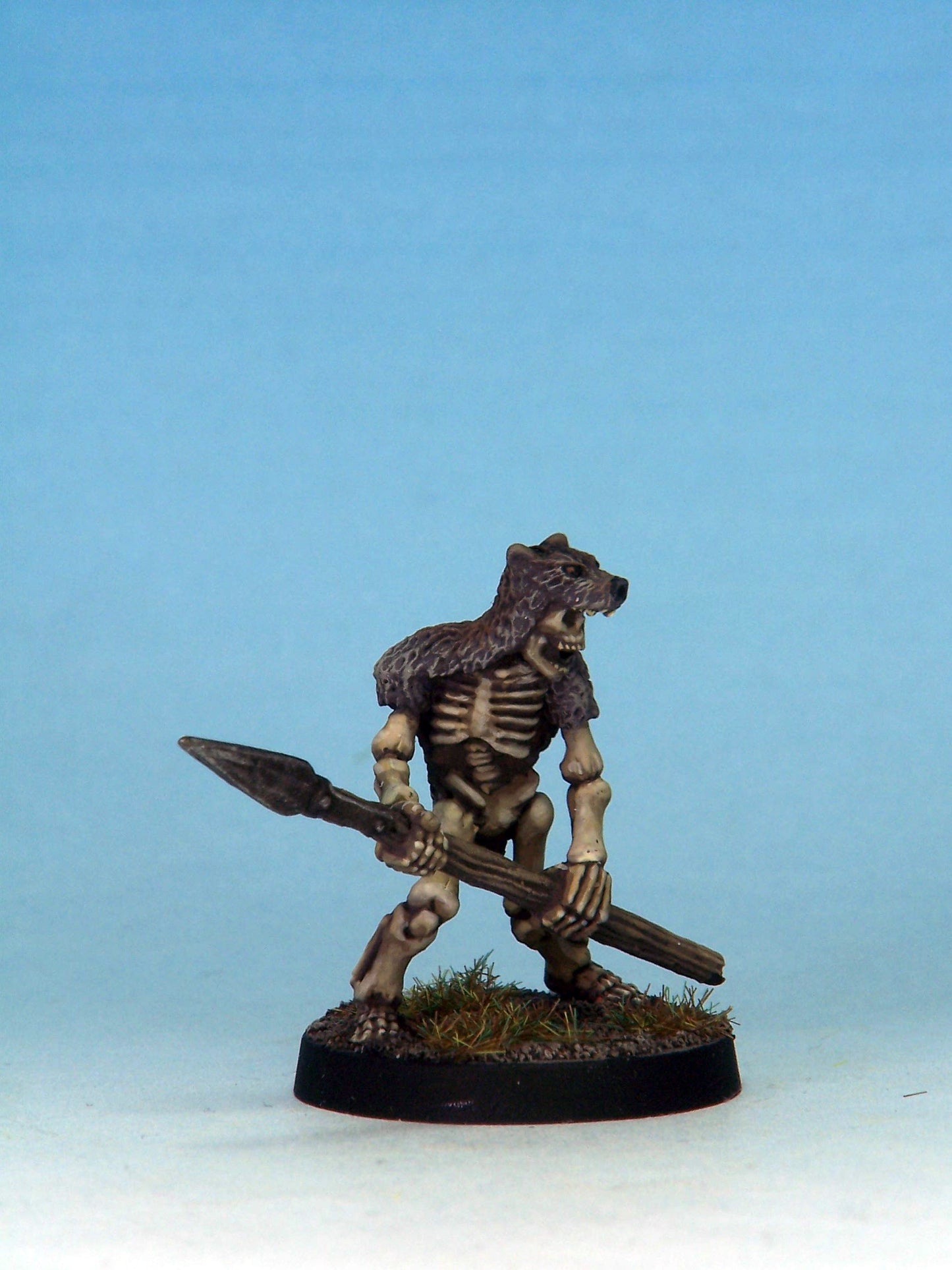 Skeleton Warrior 5D