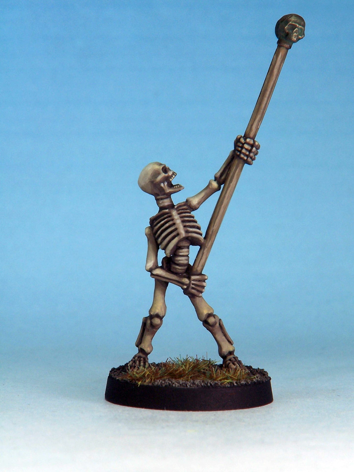 Skeleton Standard Bearer