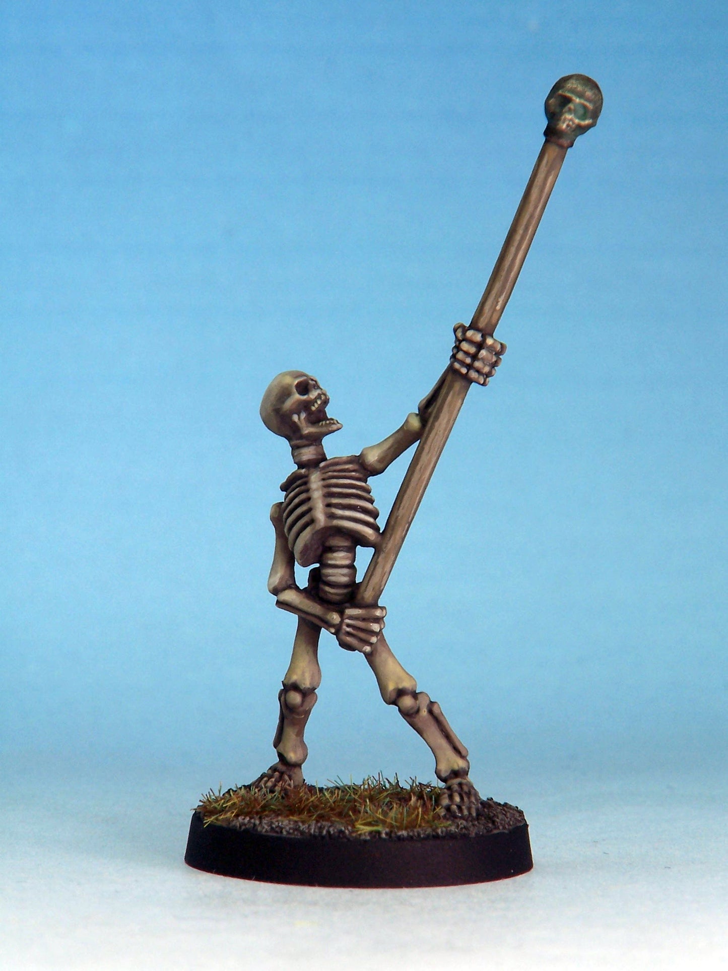 Skeleton Standard Bearer