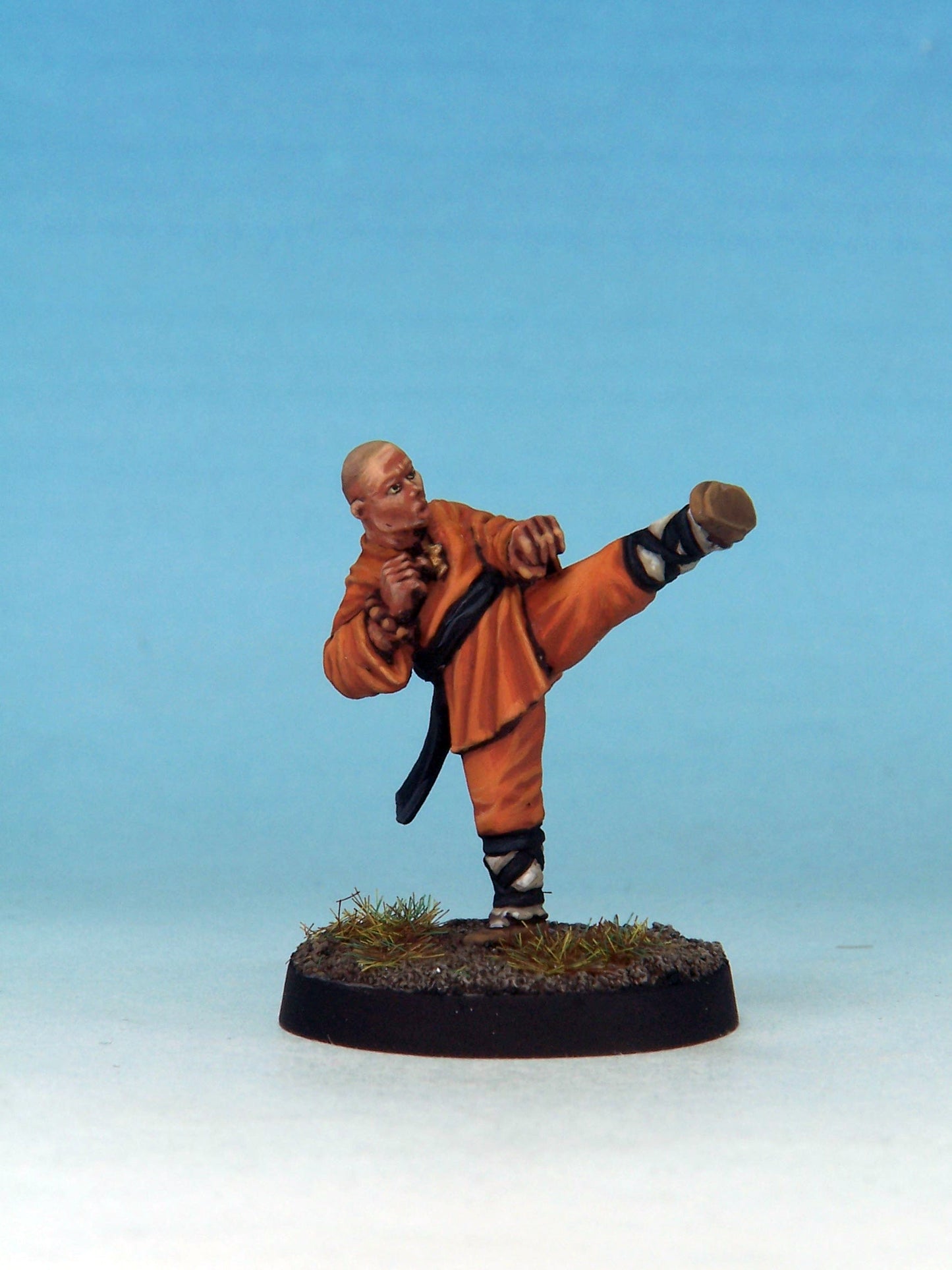 Warrior Monk B