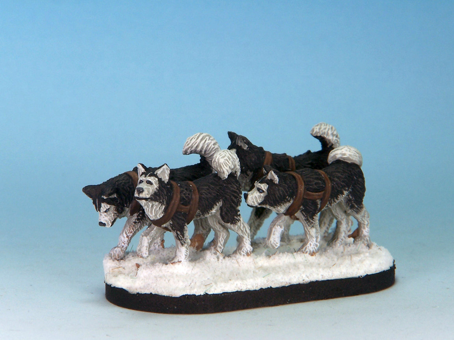 Husky Sled Team