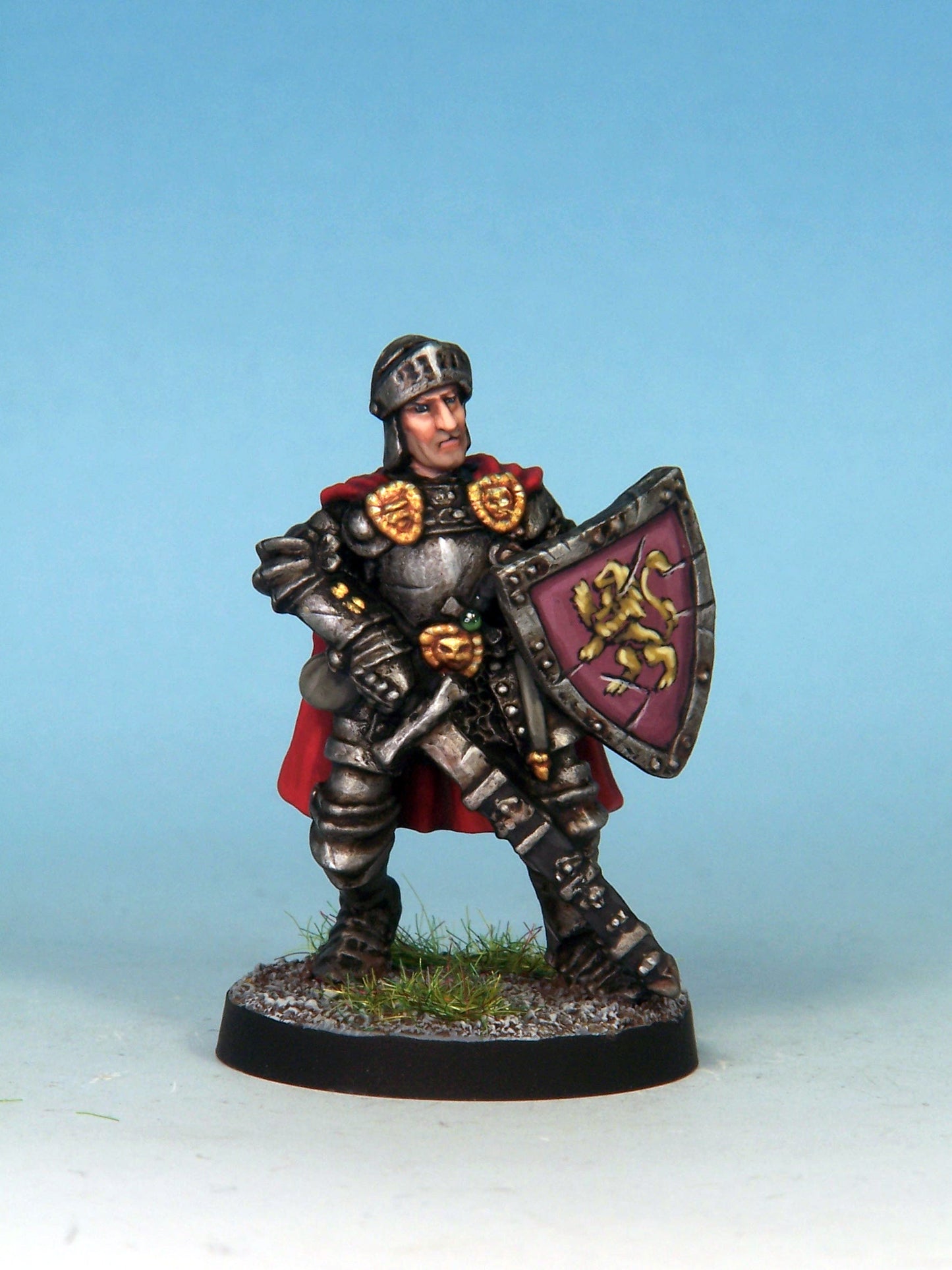 Paladin - Plate & Shield