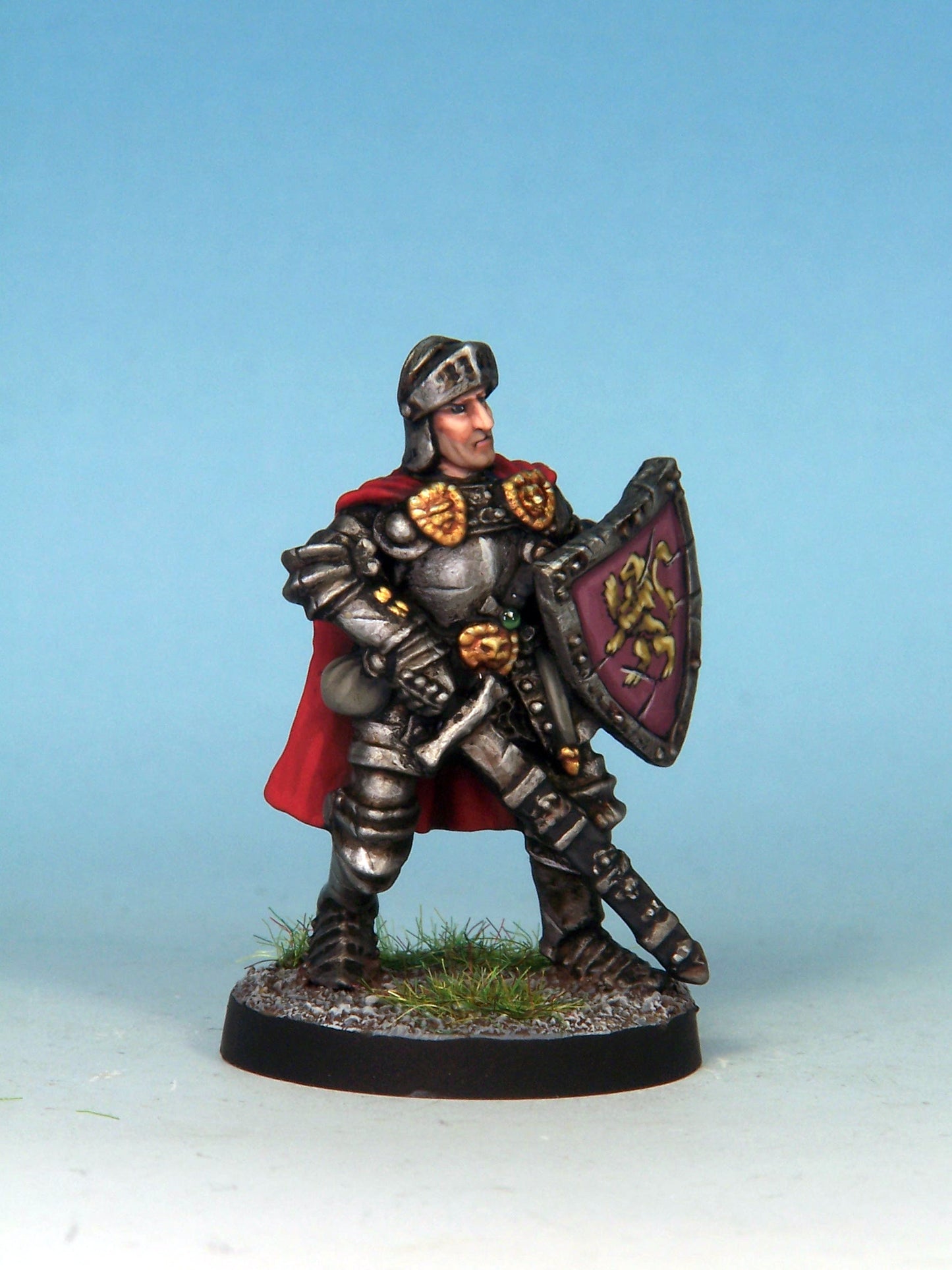 Paladin - Plate & Shield