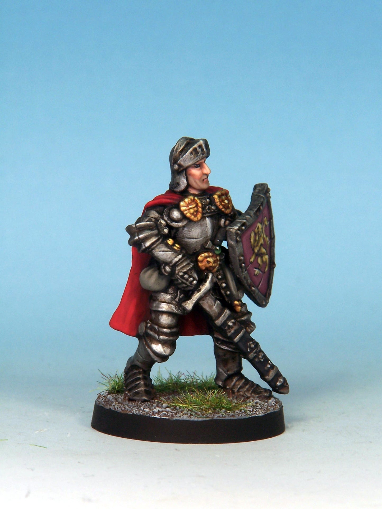 Paladin - Plate & Shield