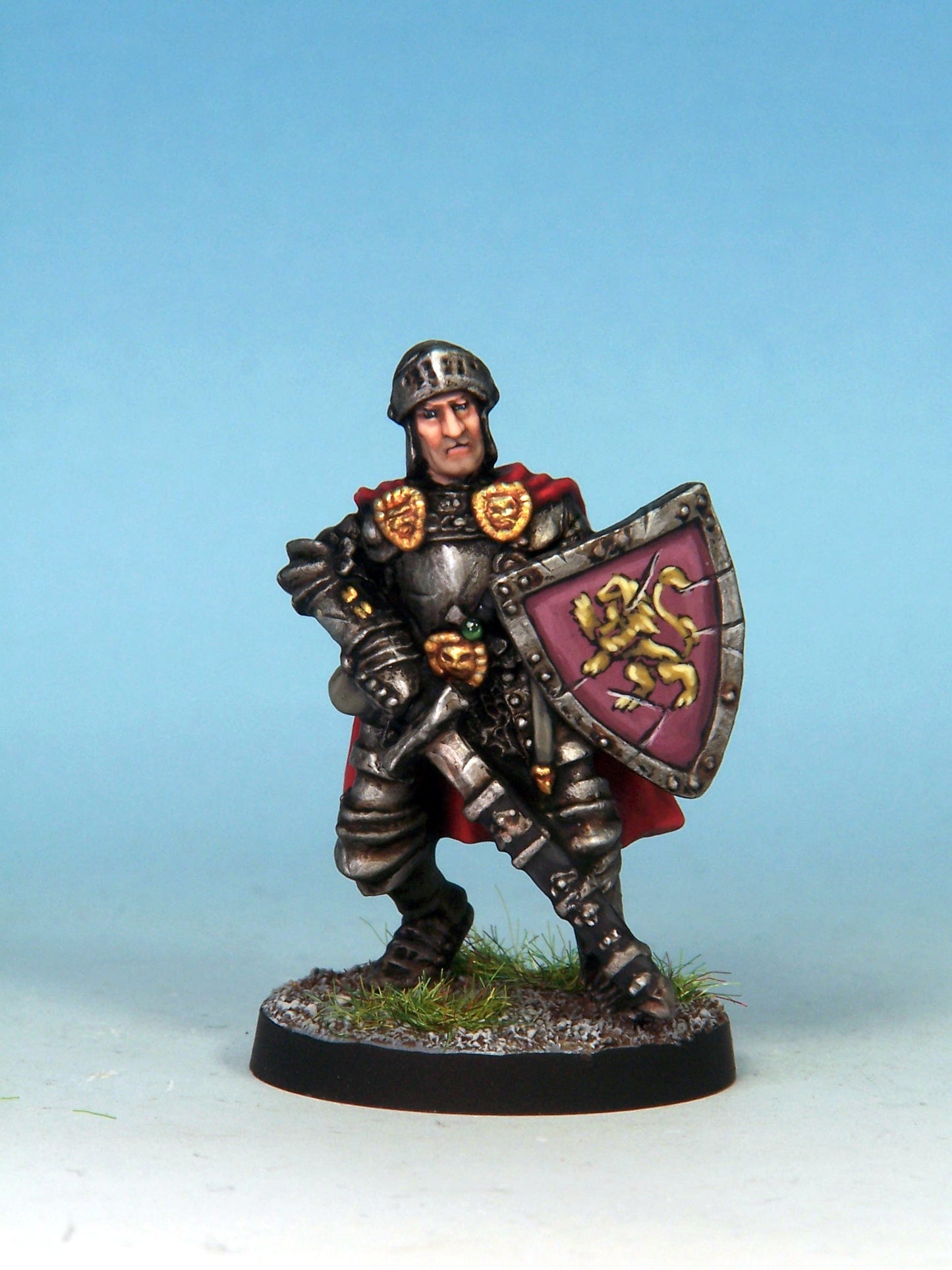 Paladin - Plate & Shield