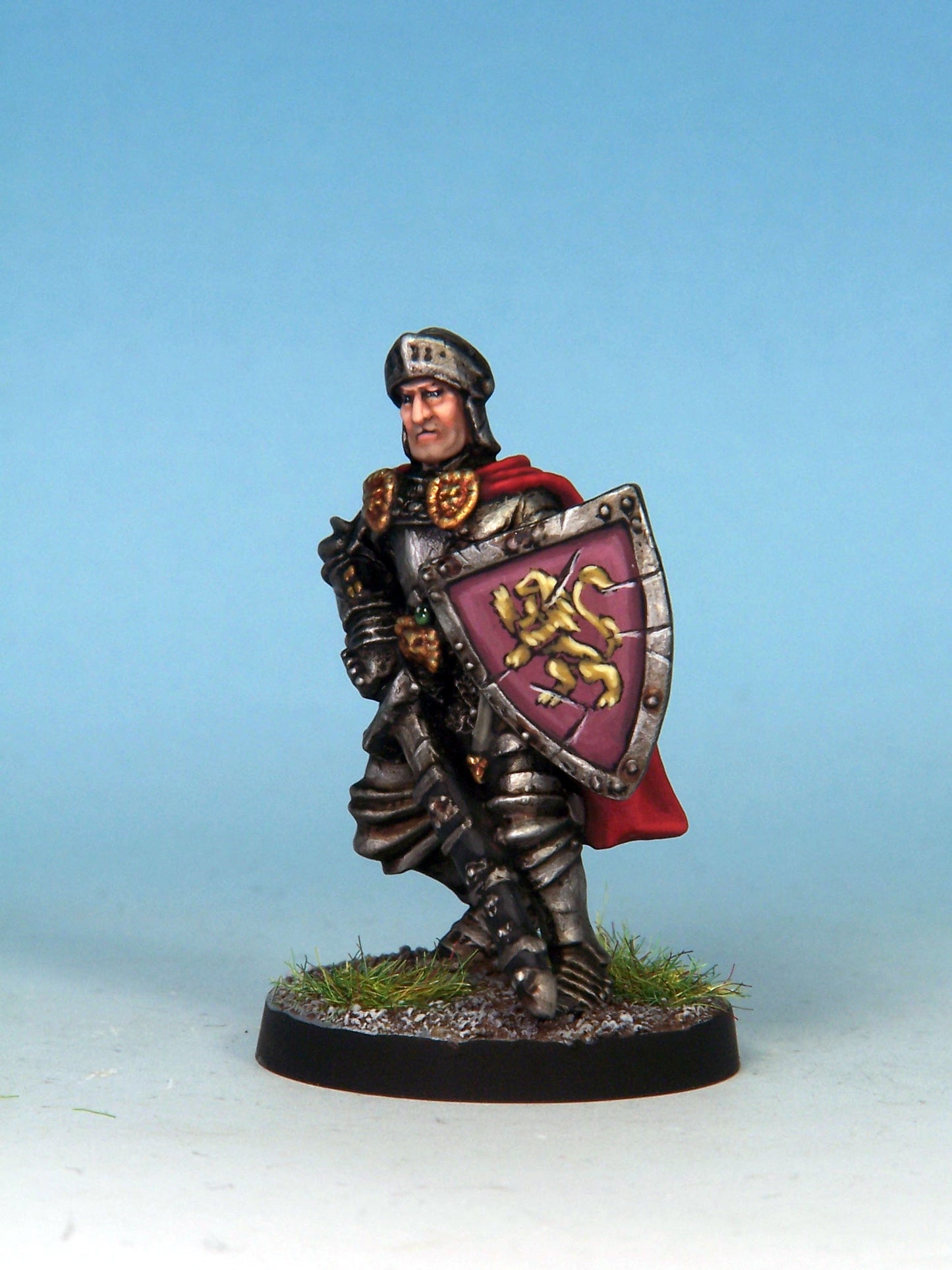 Paladin - Plate & Shield