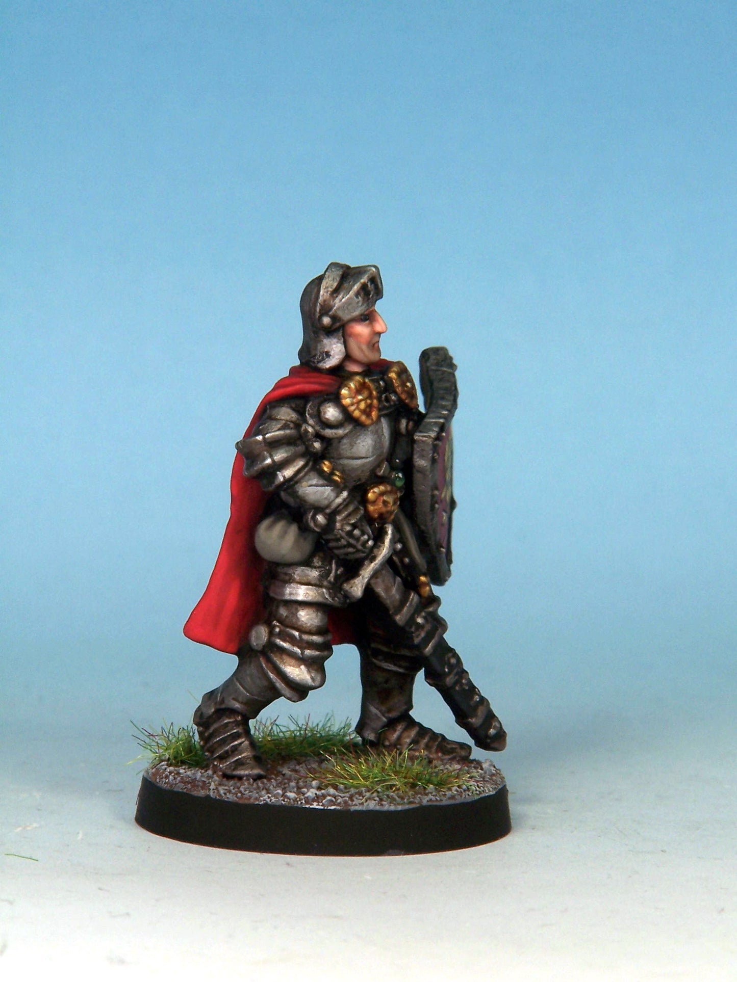 Paladin - Plate & Shield