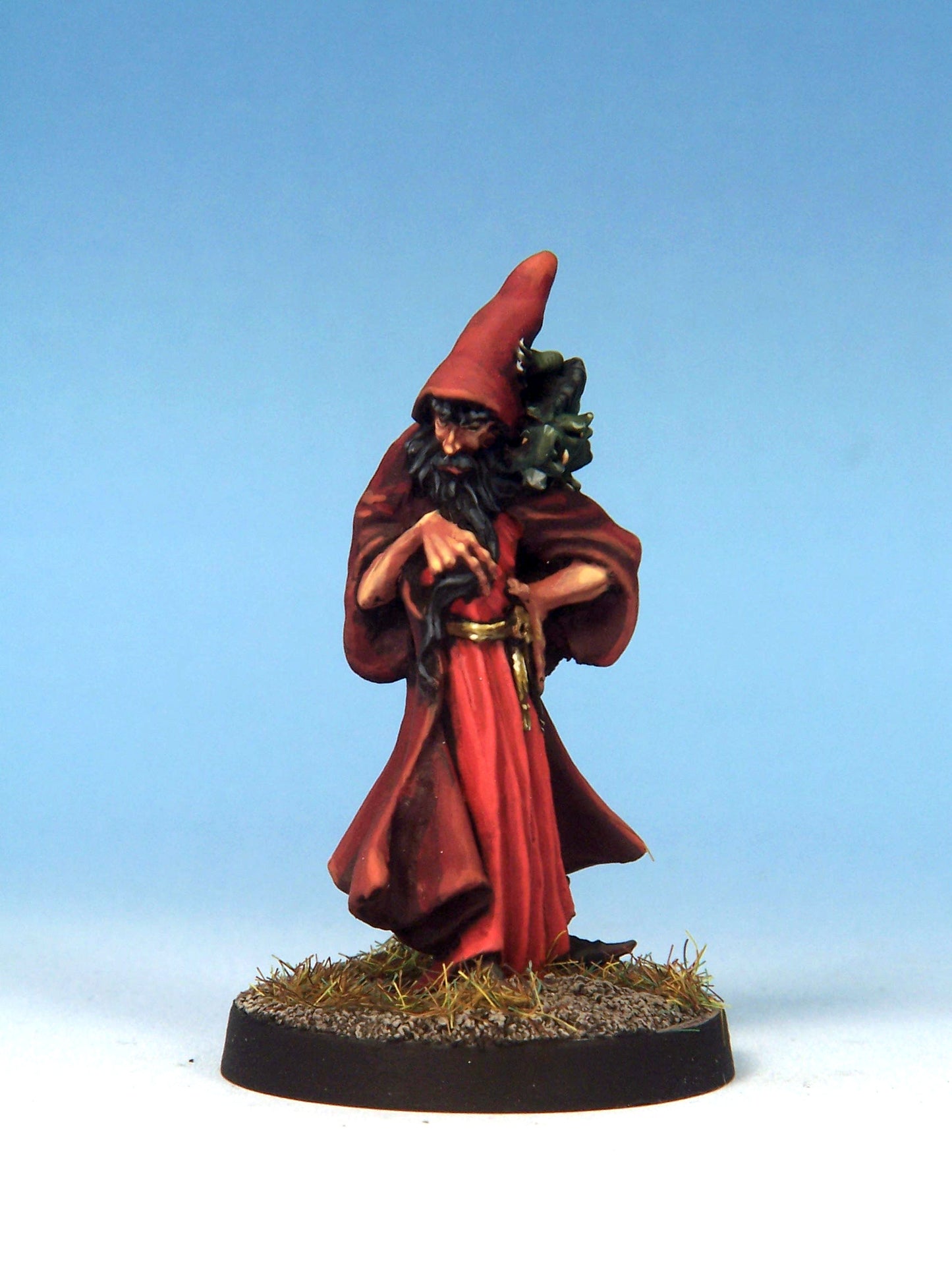 Evil Wizard with Lizard