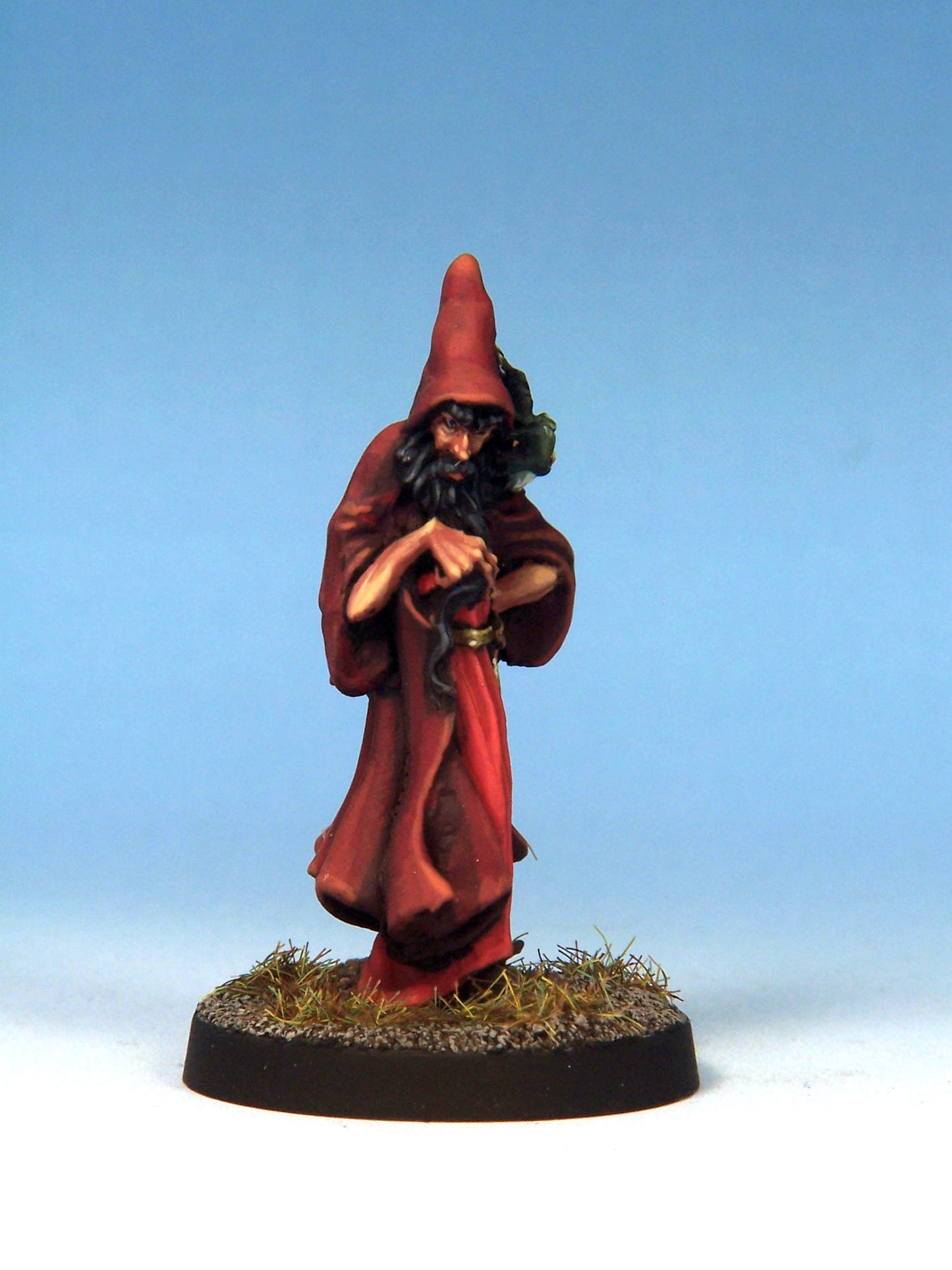 Evil Wizard with Lizard