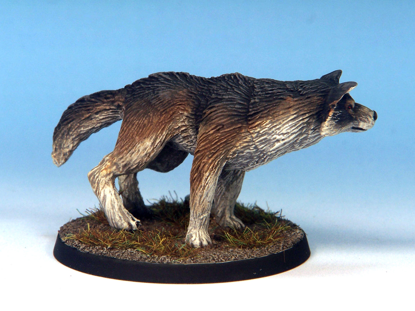 Dire Wolf A