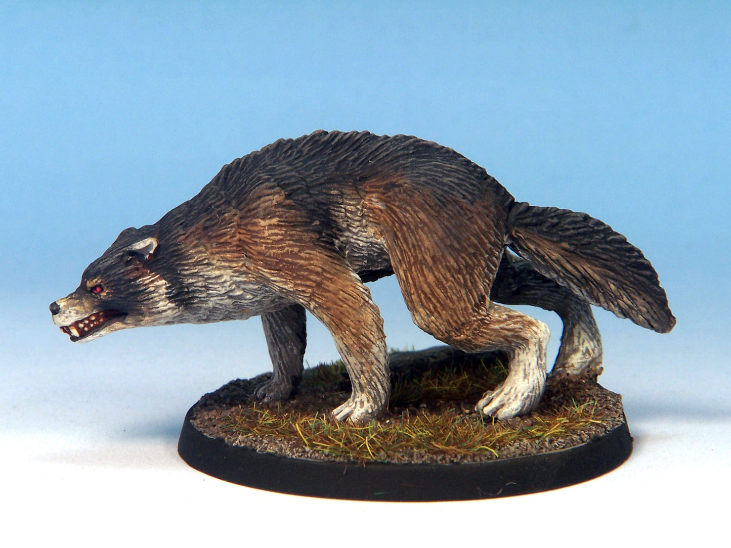 Dire Wolf B
