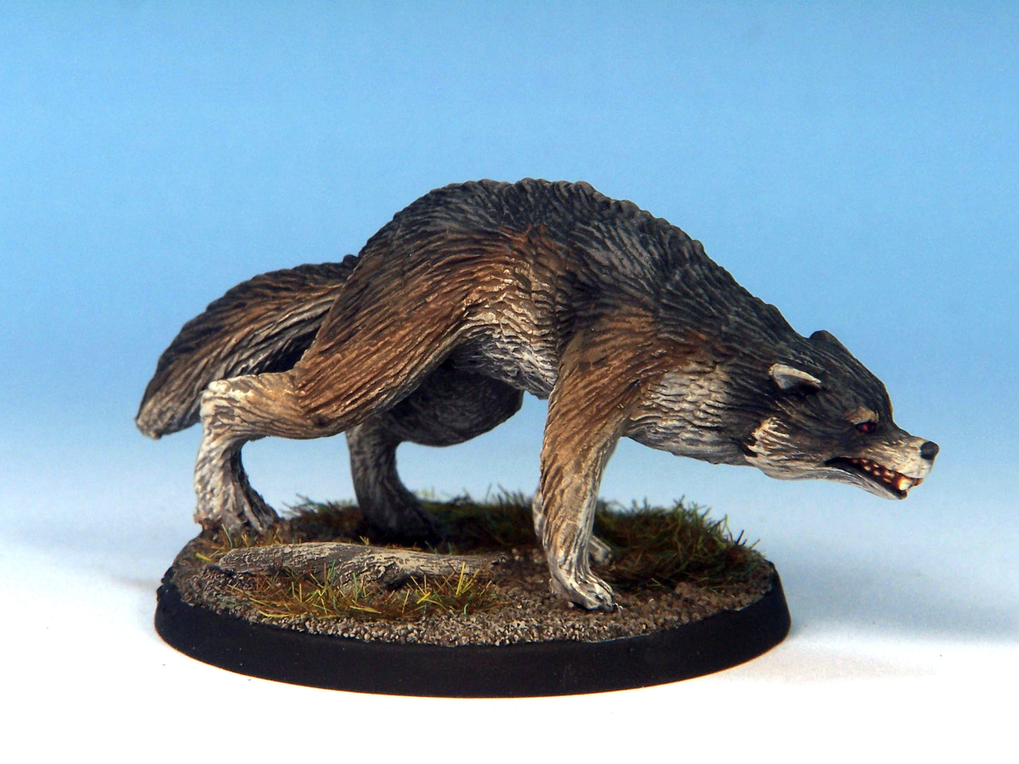Dire Wolf B
