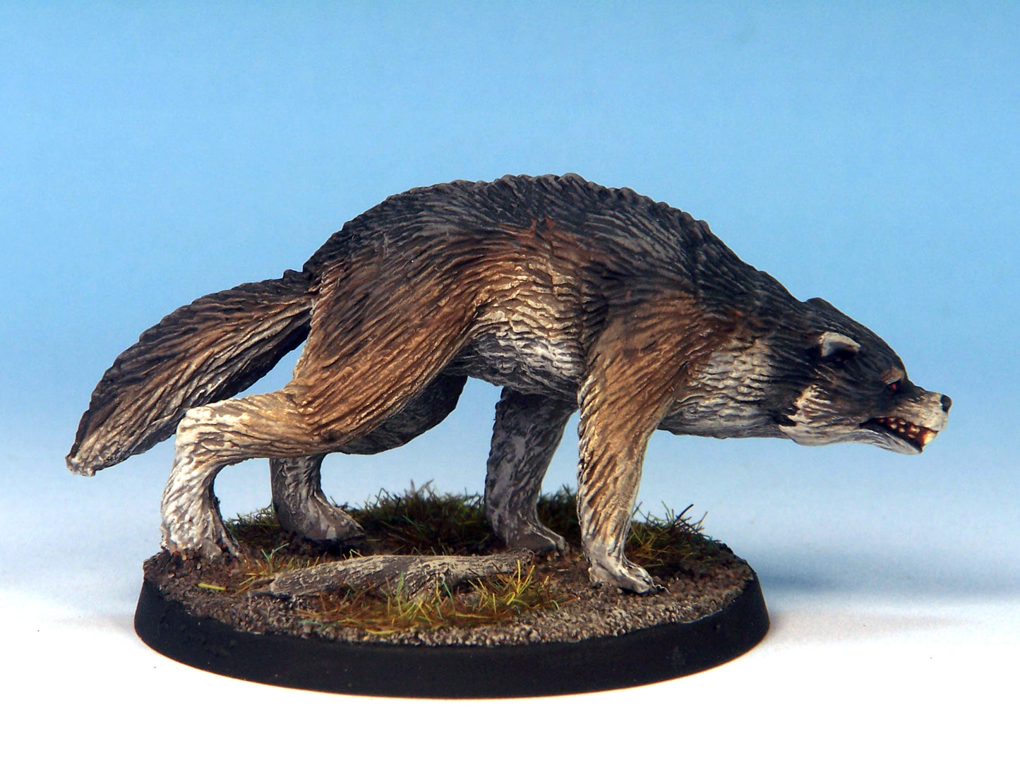 Dire Wolf B