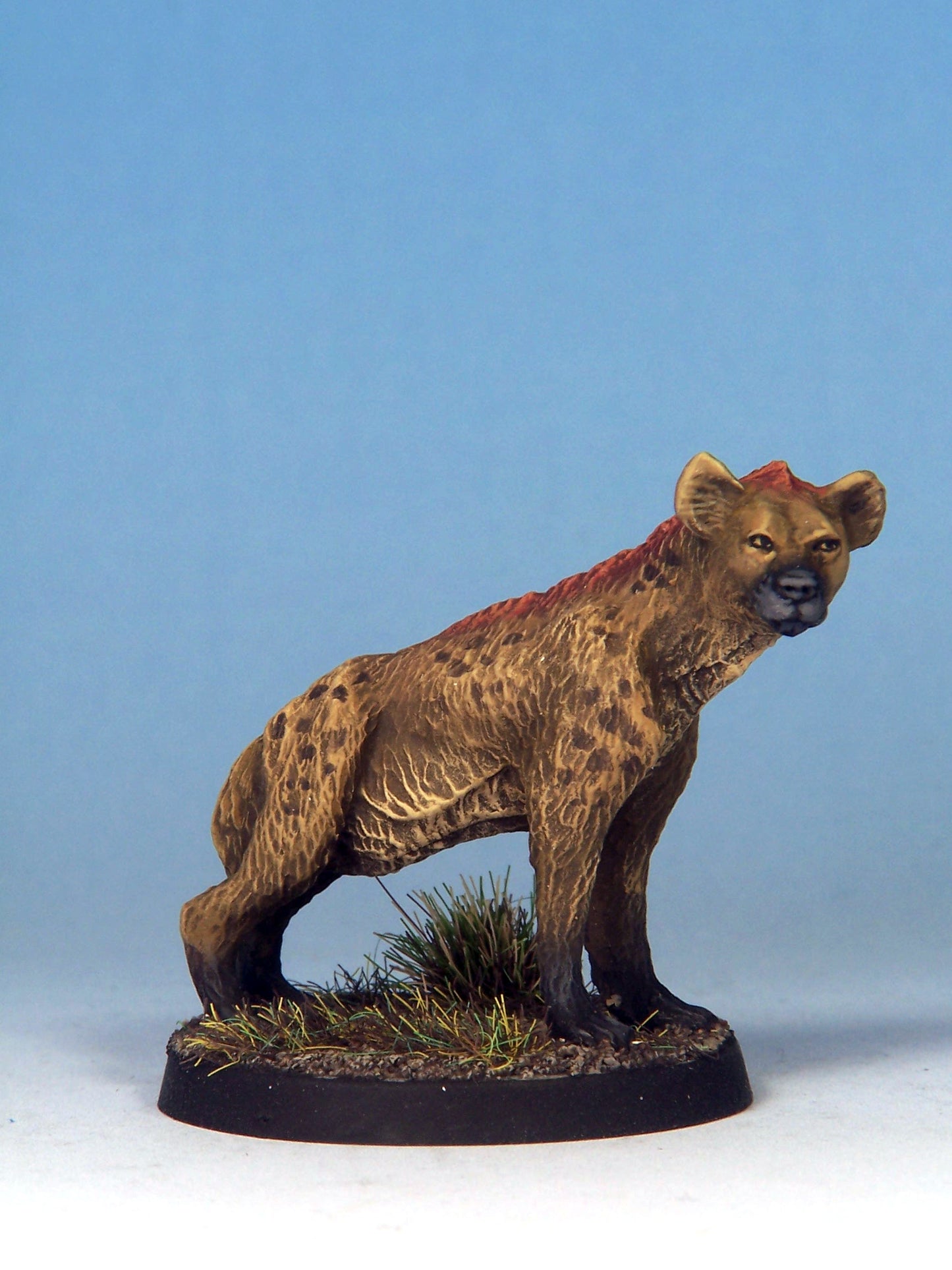 Hyenadon A