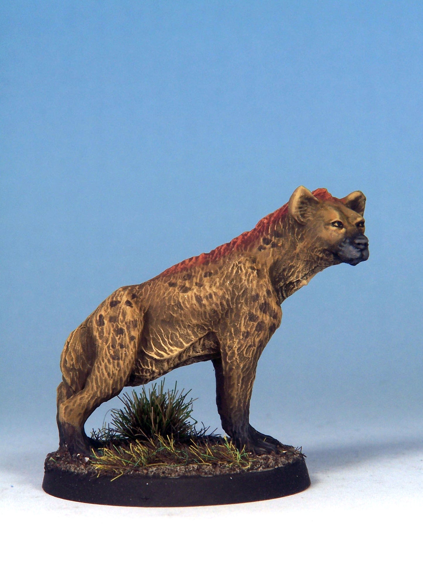 Hyenadon A