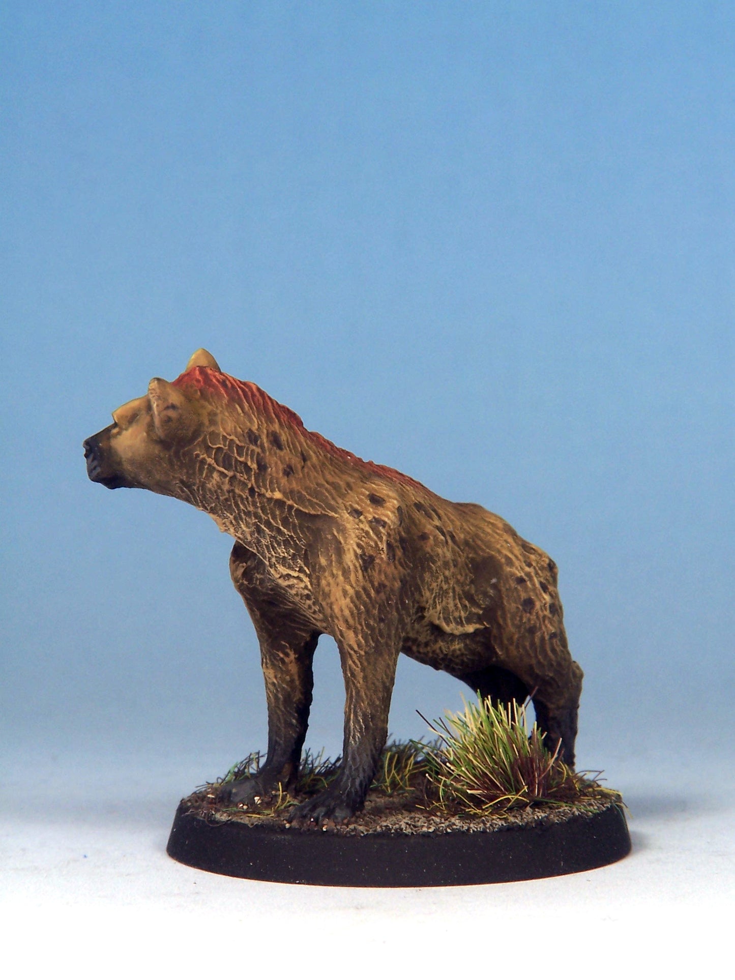 Hyenadon A