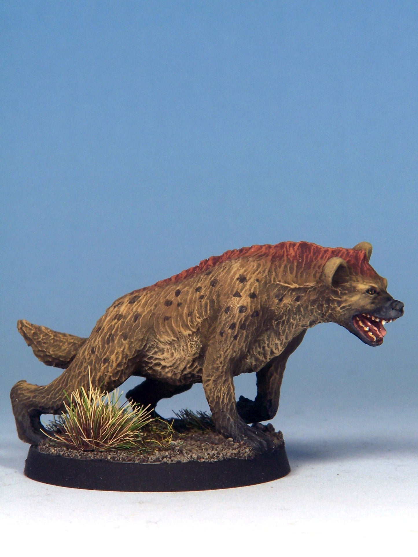 Hyenadon B