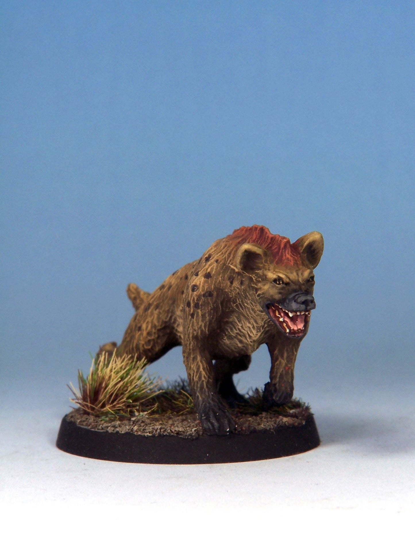 Hyenadon B