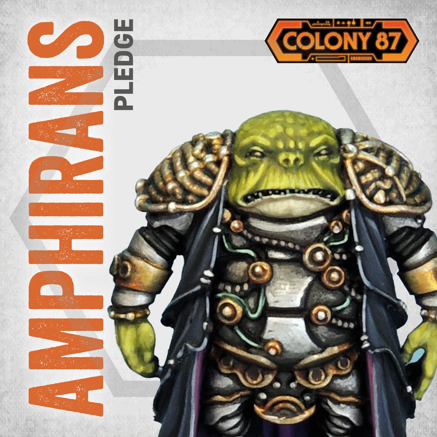Amphiran Set Pledge