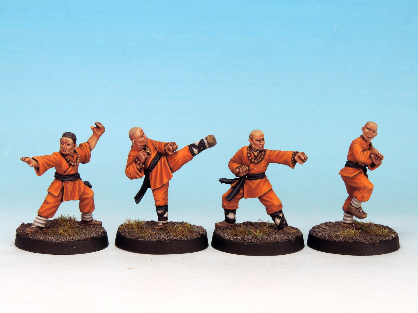 Warrior Monks