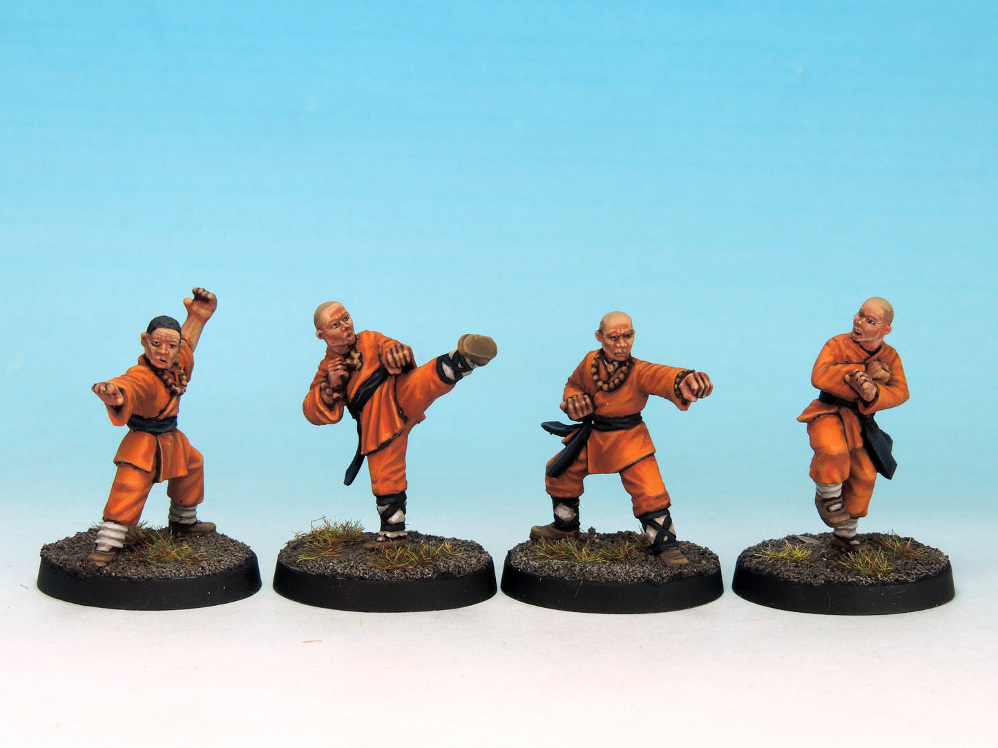 Warrior Monks