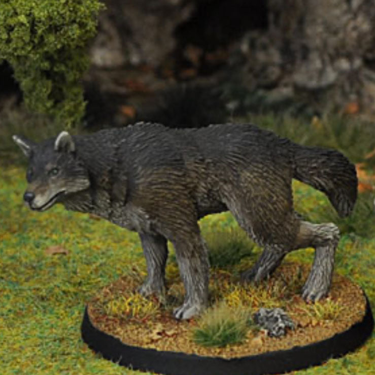 Dire Wolf A