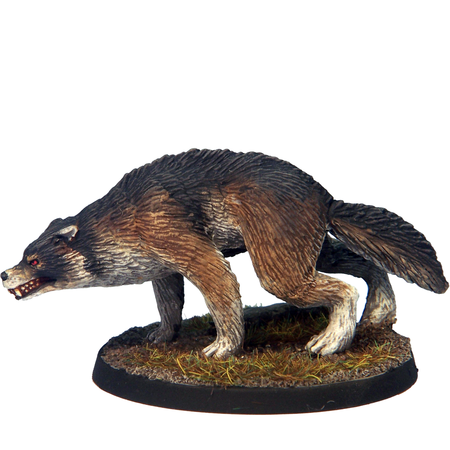 Dire Wolf B