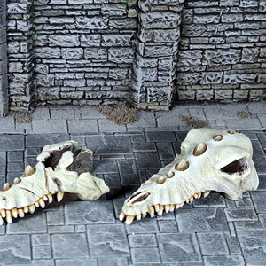 Dragon Skulls