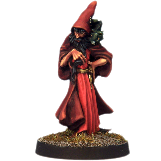 Evil Wizard with Lizard